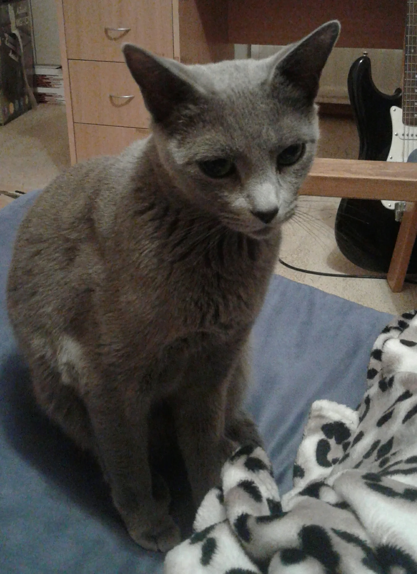 2017-07-06 00.29.03.webp