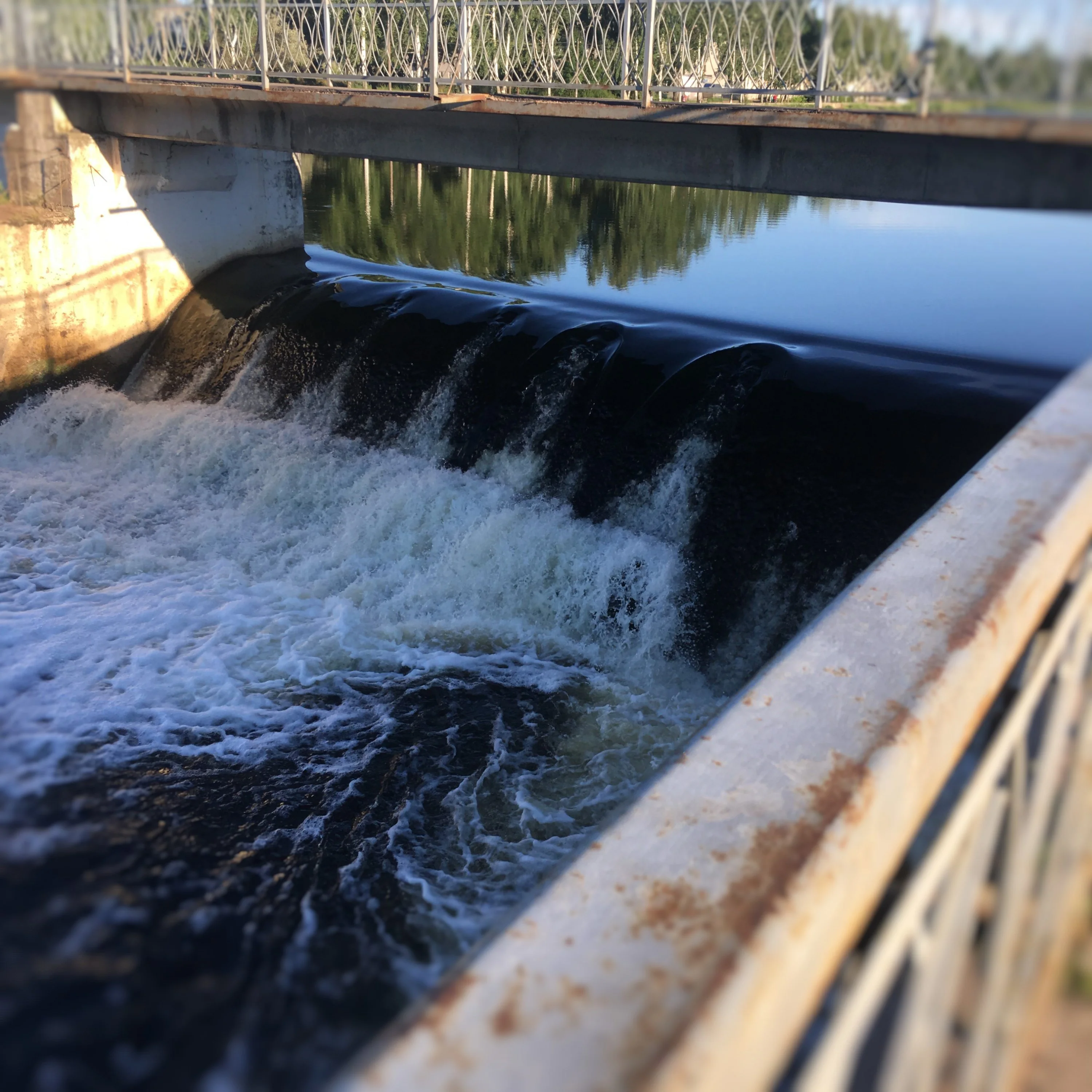 2017-07-21 19.31.26.webp