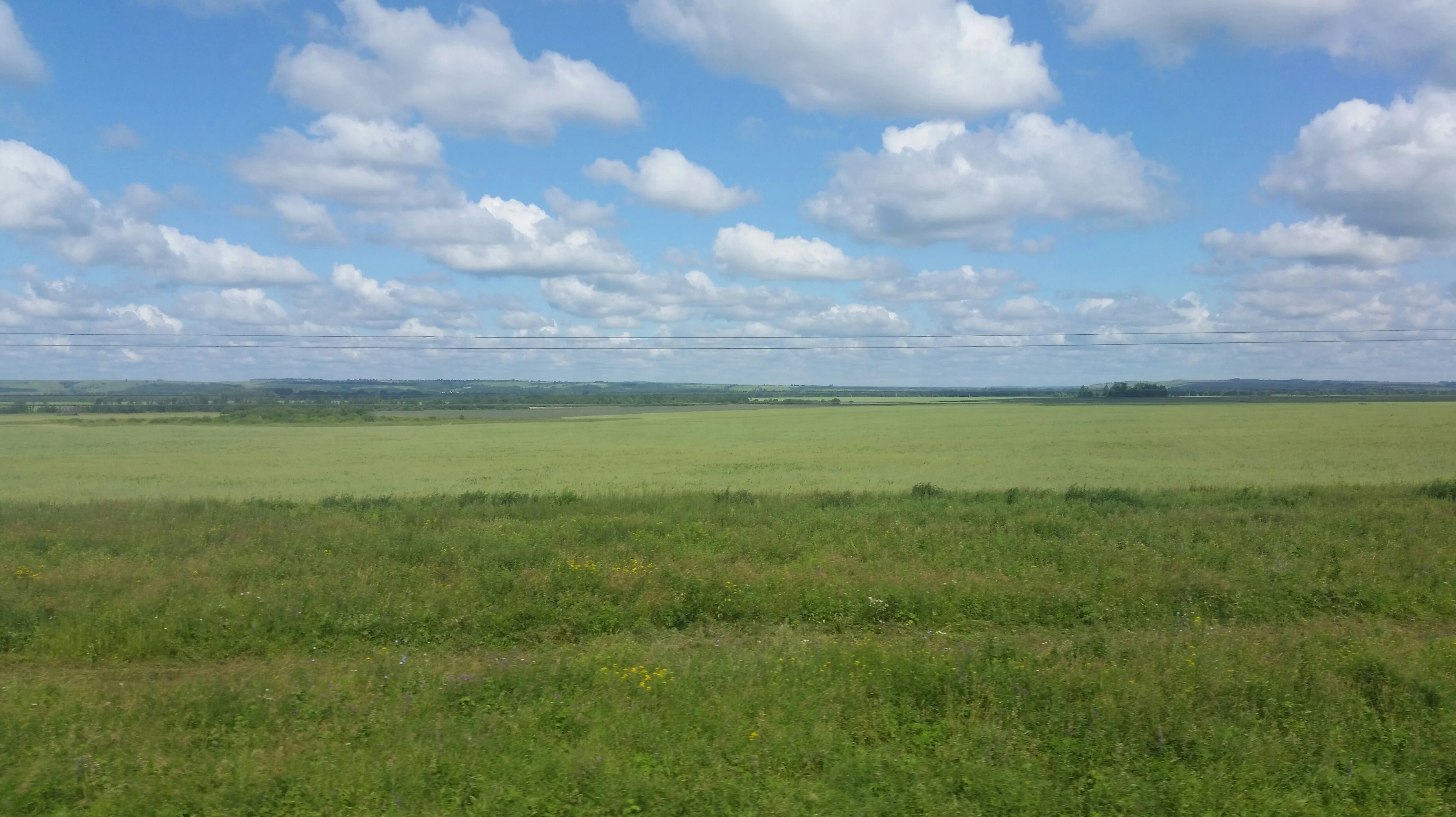 2017-07-23 12.40.50.webp