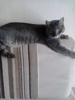 2017-07-30 12.51.19.webp