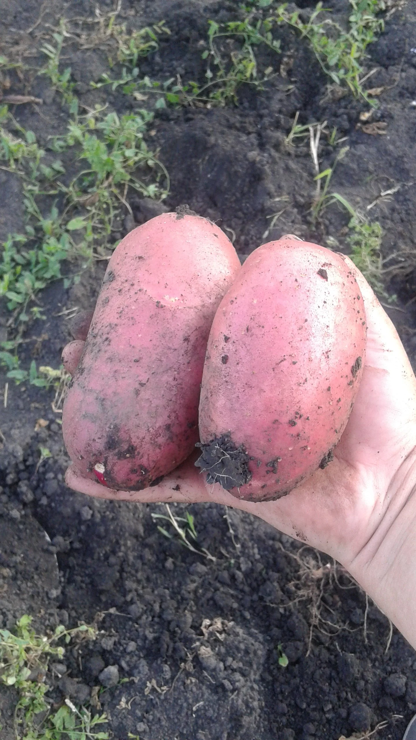 2017-08-19 18-05-23.webp