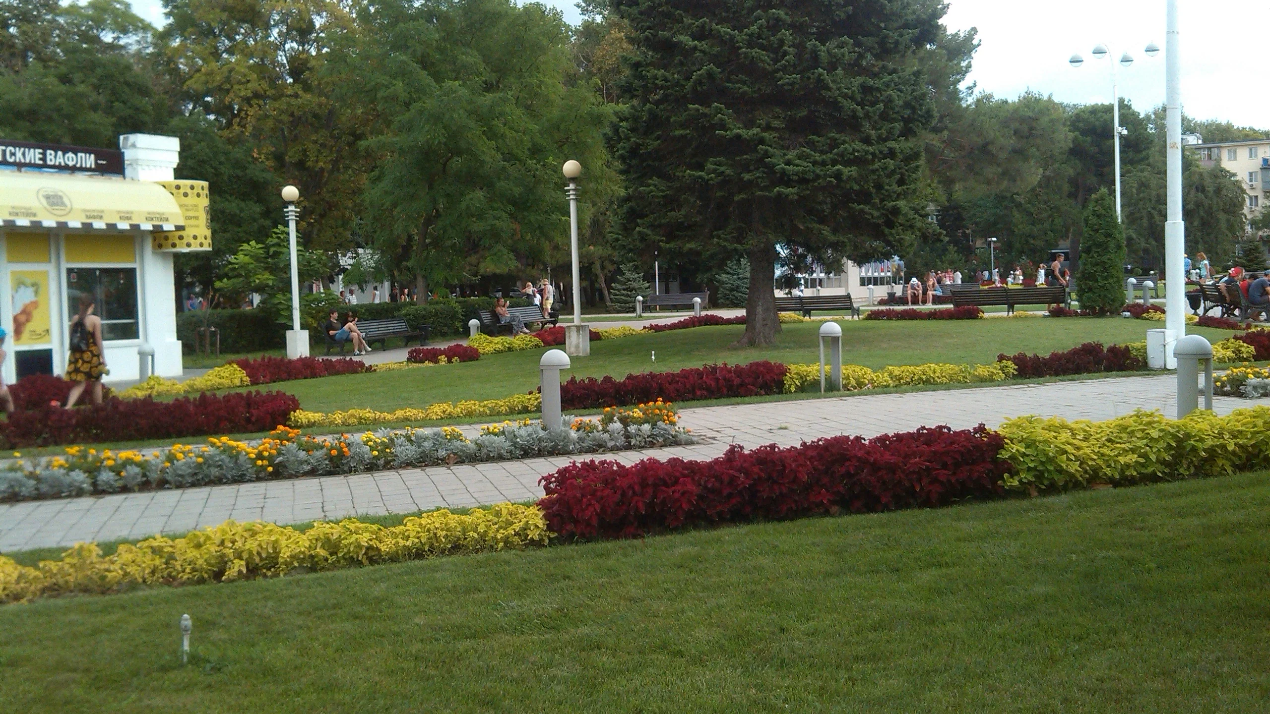 2017-08-20 17-12-15.webp