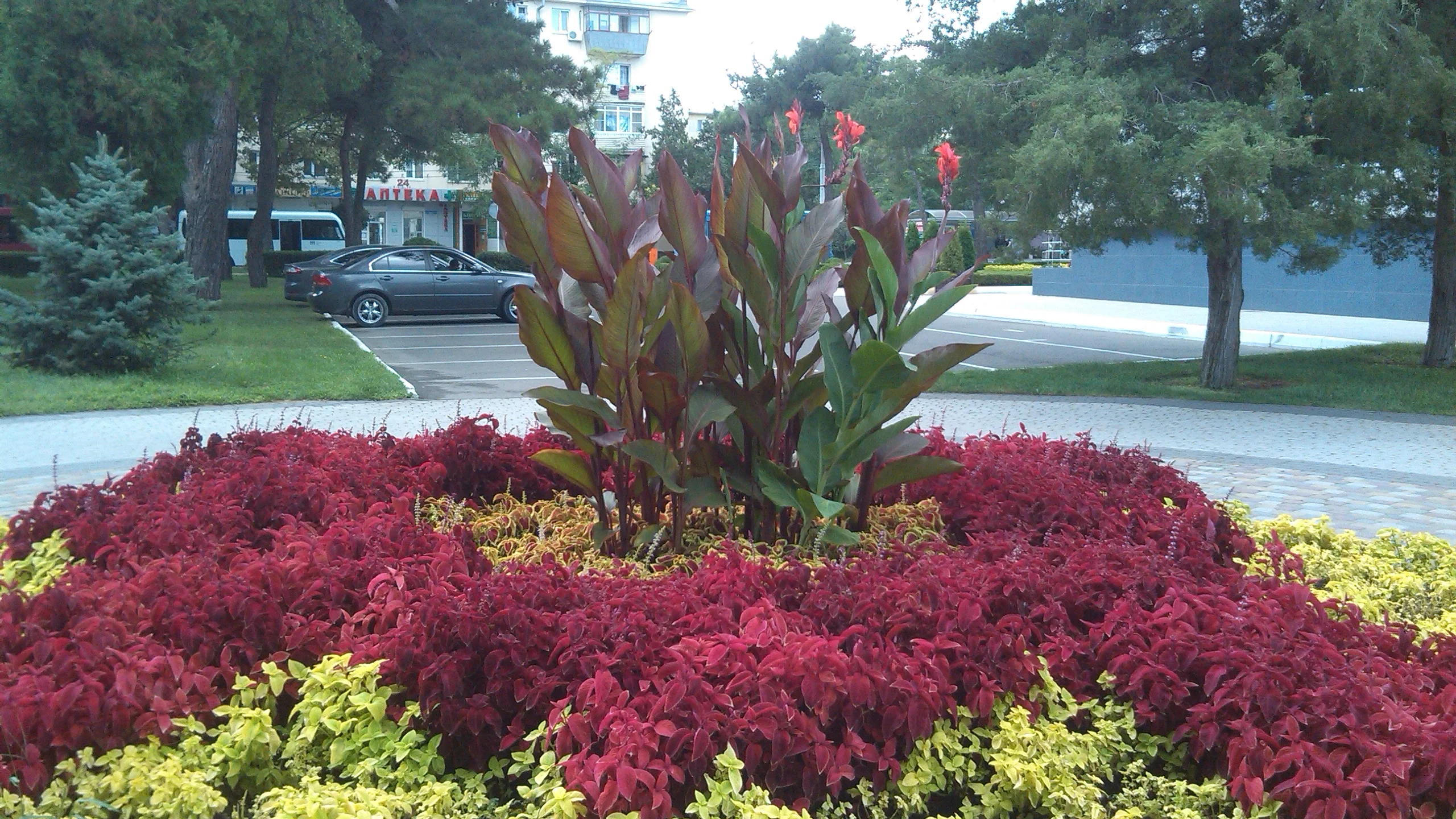 2017-08-22 10-31-03.webp