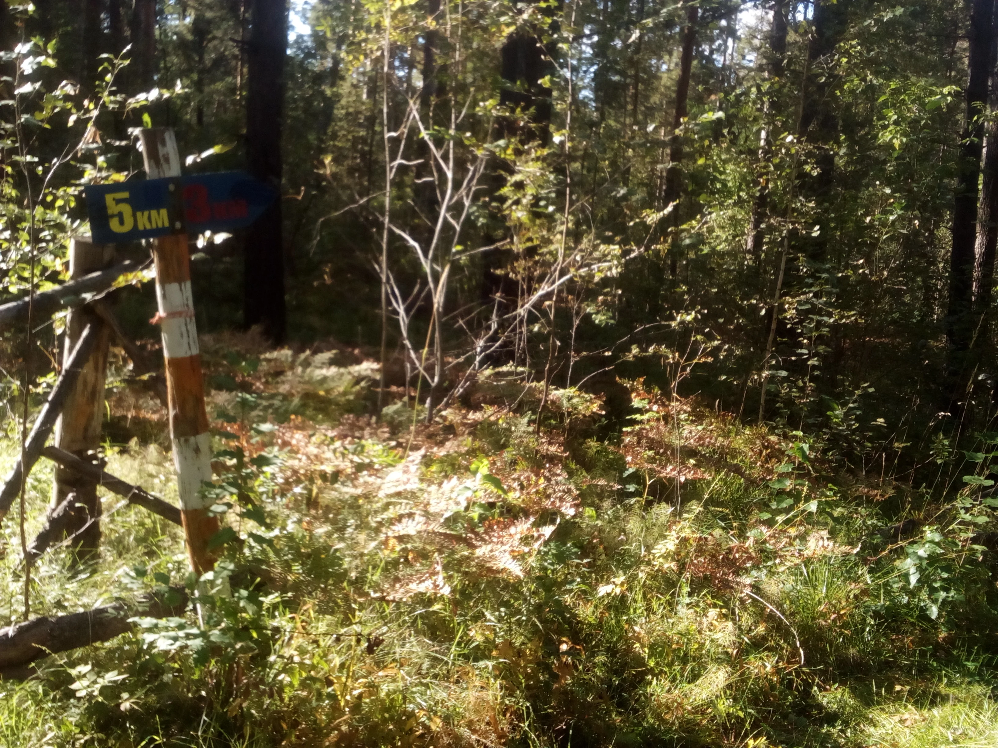 2017-09-02 17-06-13.webp