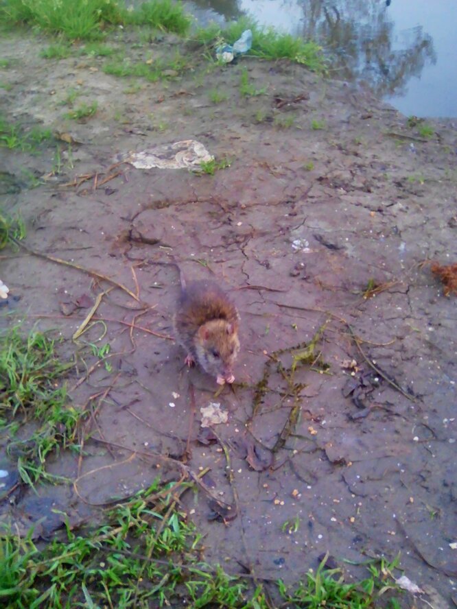 2017-09-12 03-17-26.JPG