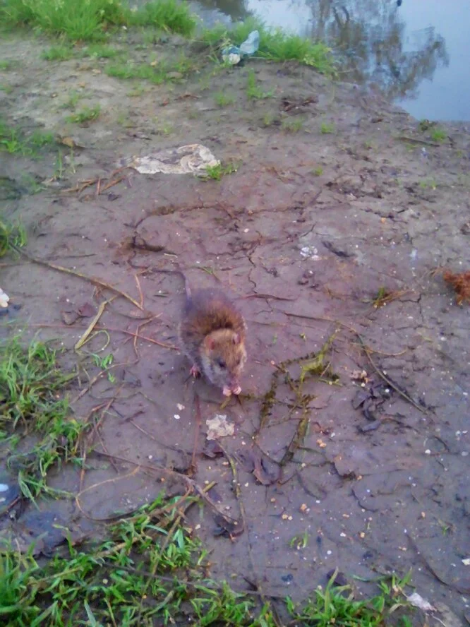 2017-09-12 03-17-26.webp