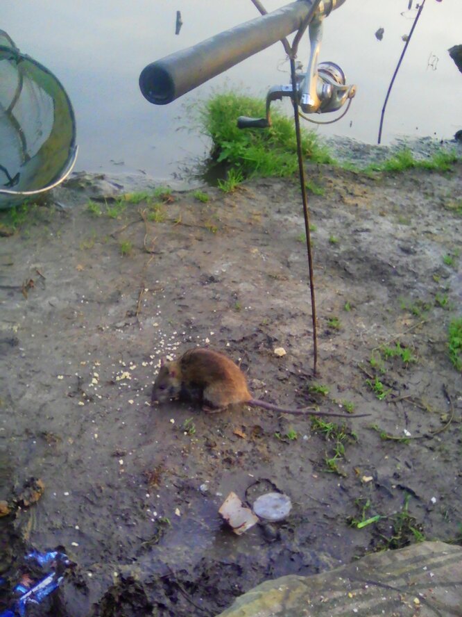 2017-09-12 03-31-48.JPG