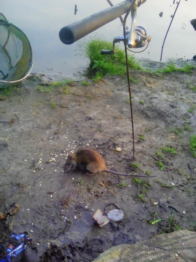 2017-09-12 03-31-48.webp