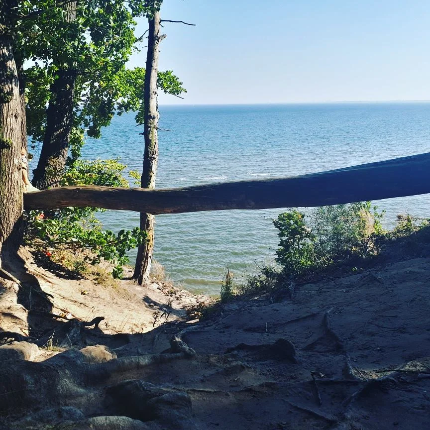 2017-10-01 15-19-28 (2).webp