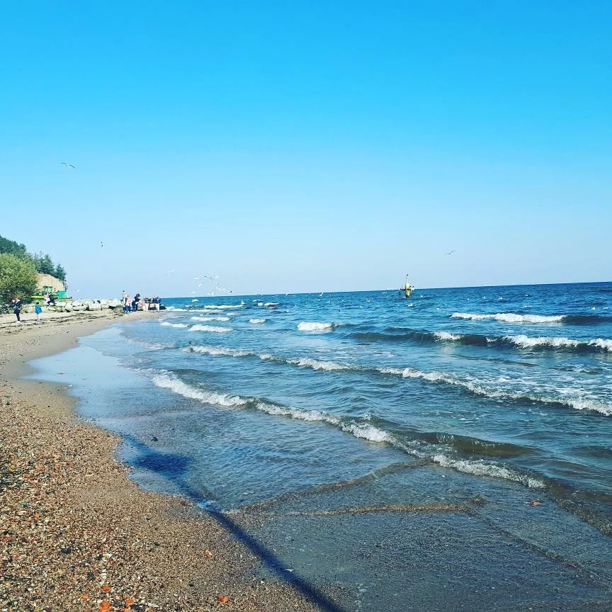 2017-10-01 16-07-17.webp