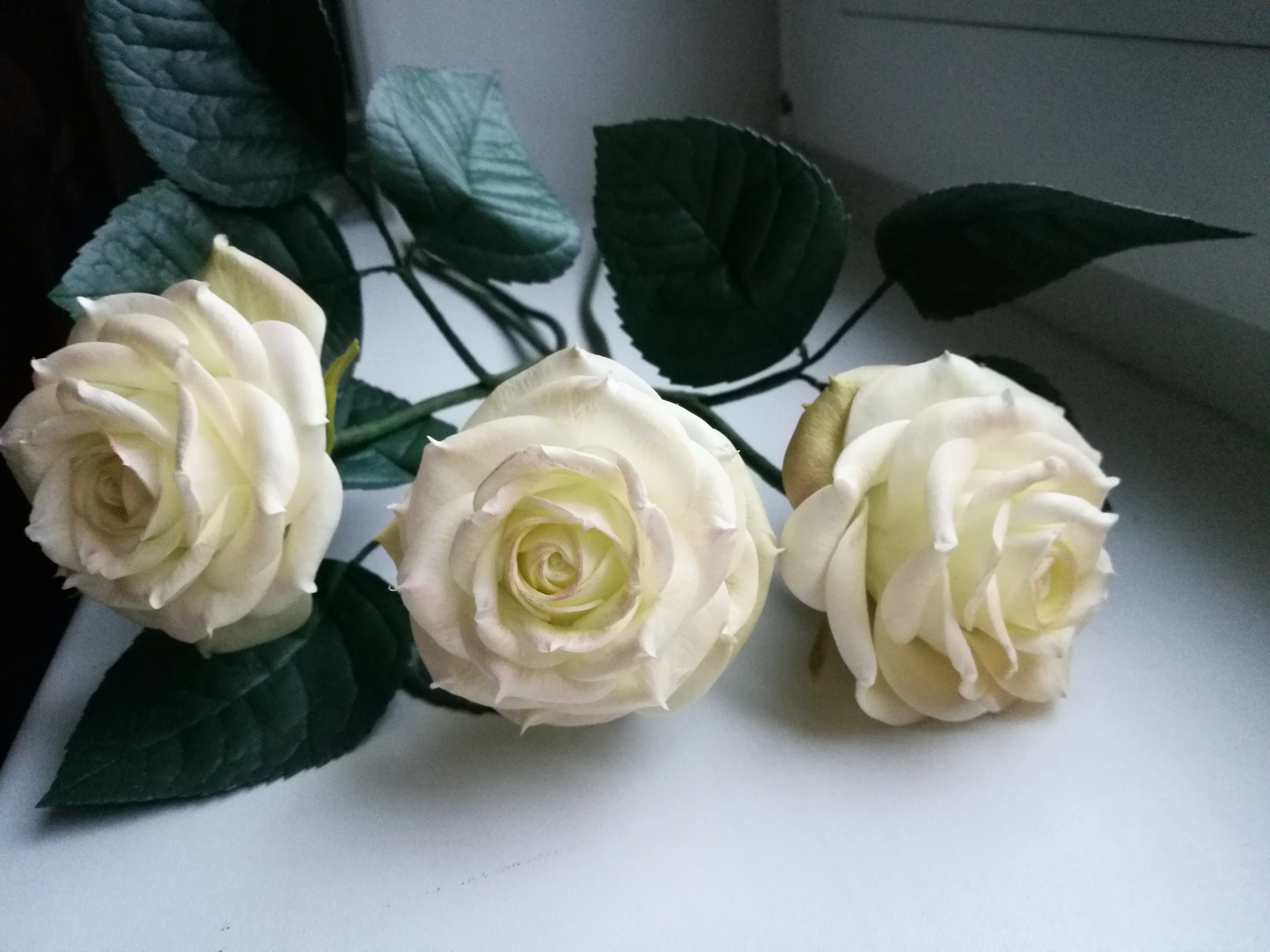 2017-11-10 08-10-46.webp