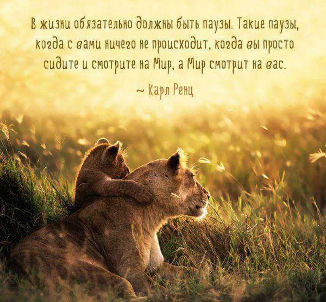 20170106_002150.webp