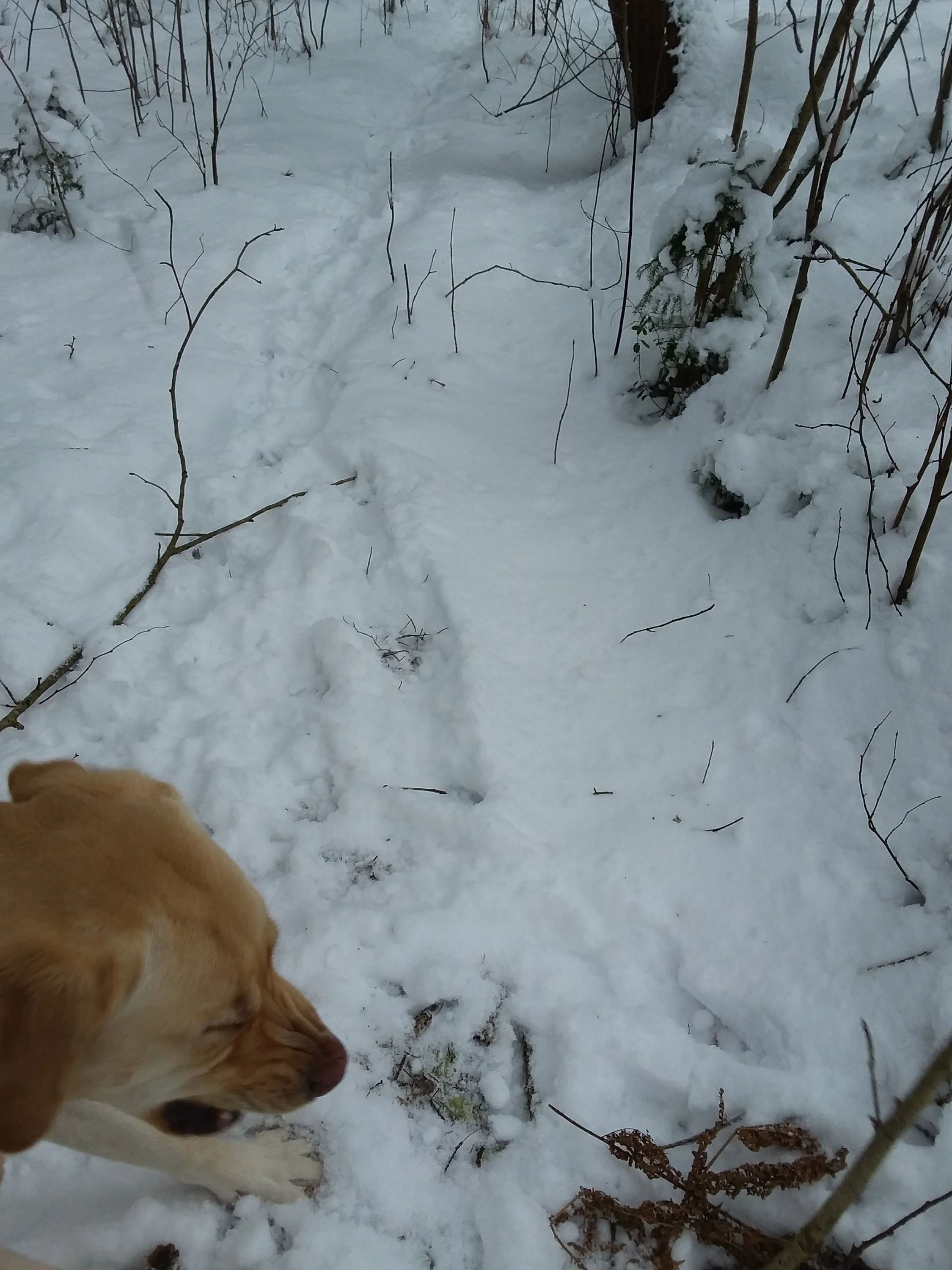 20170117_141425.webp