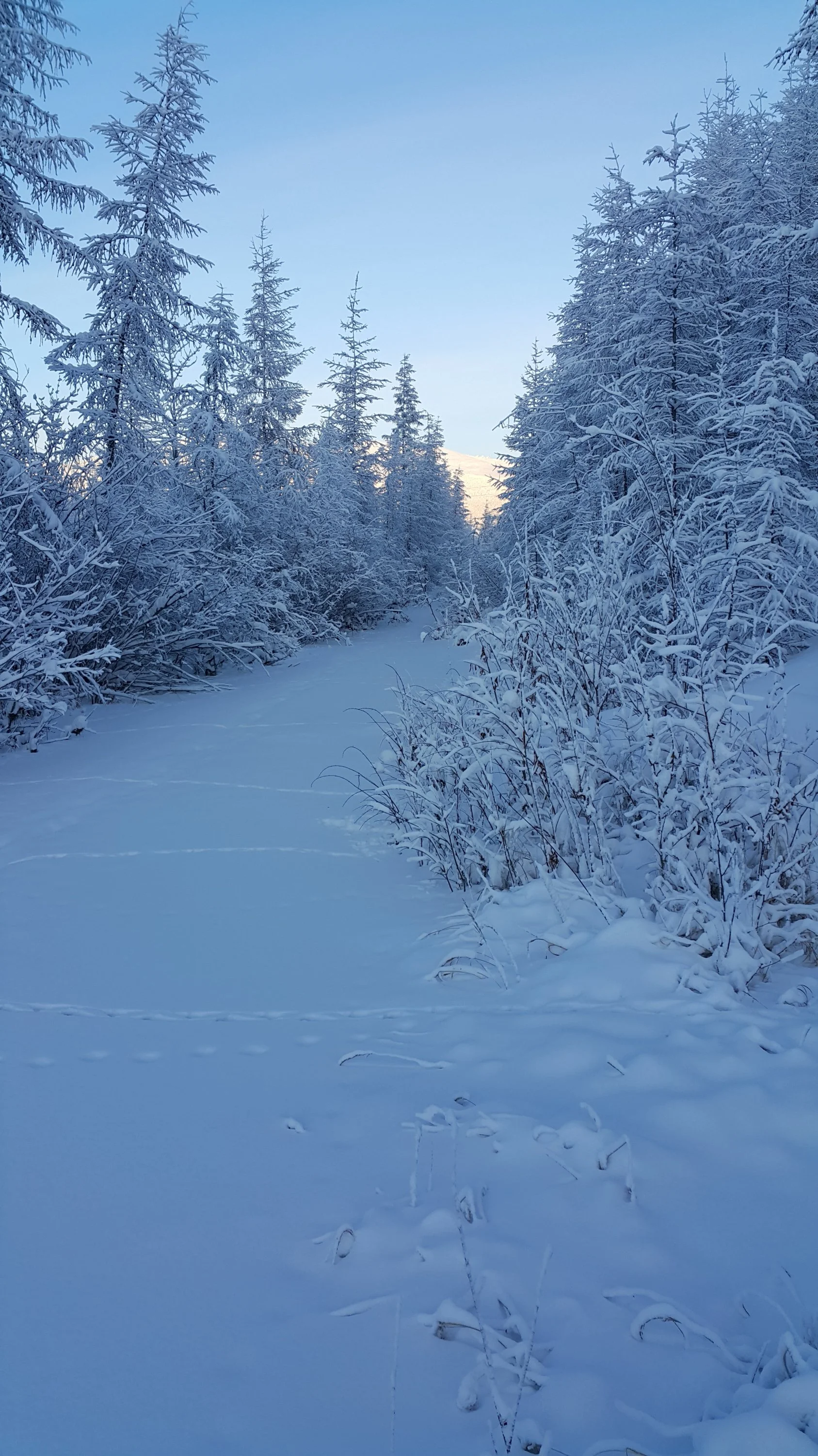 20170206_151911_001 (1).webp