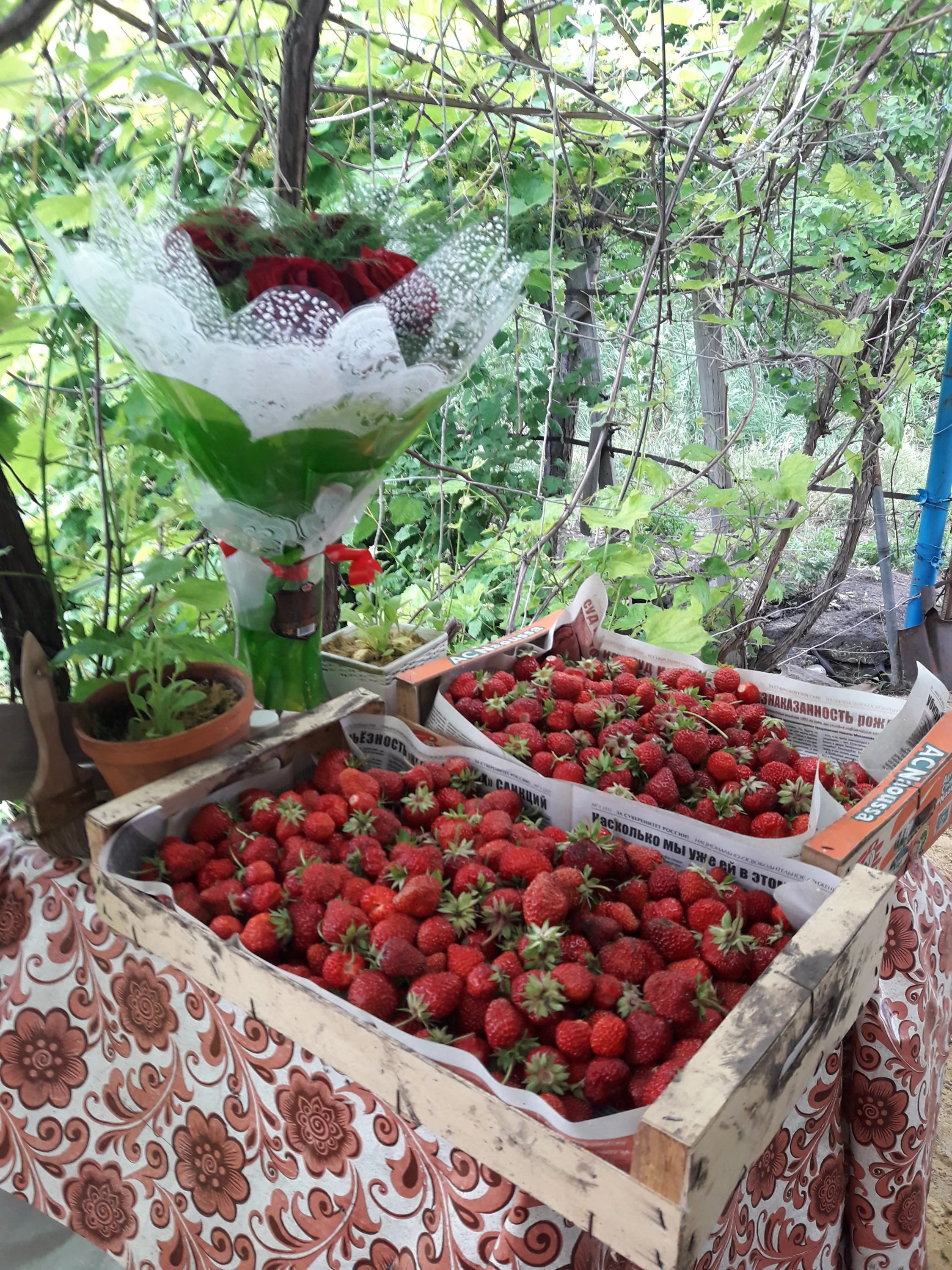 20170616_123942.webp