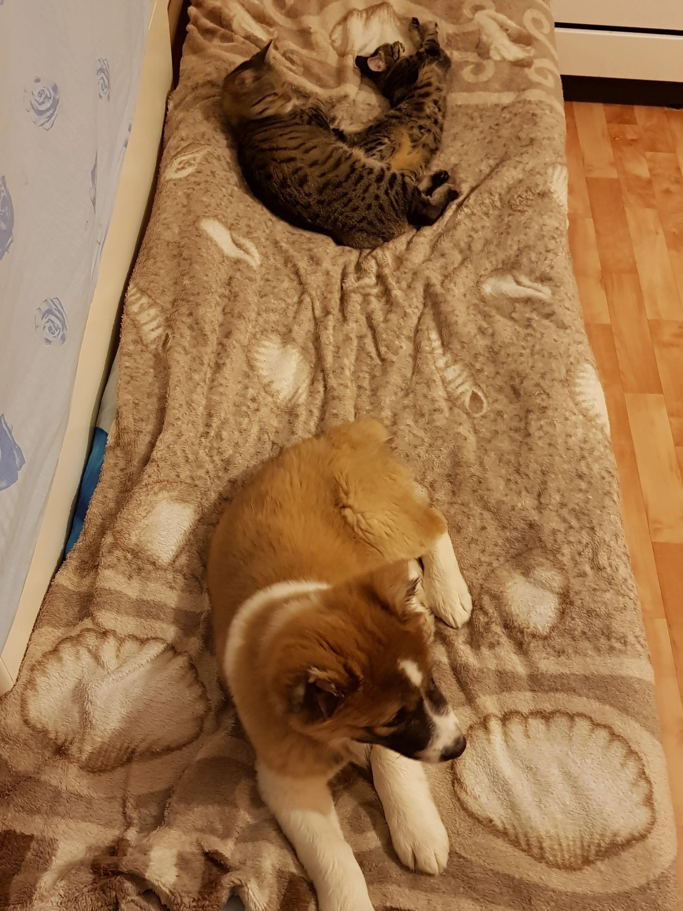 20171104_210042 (1).webp