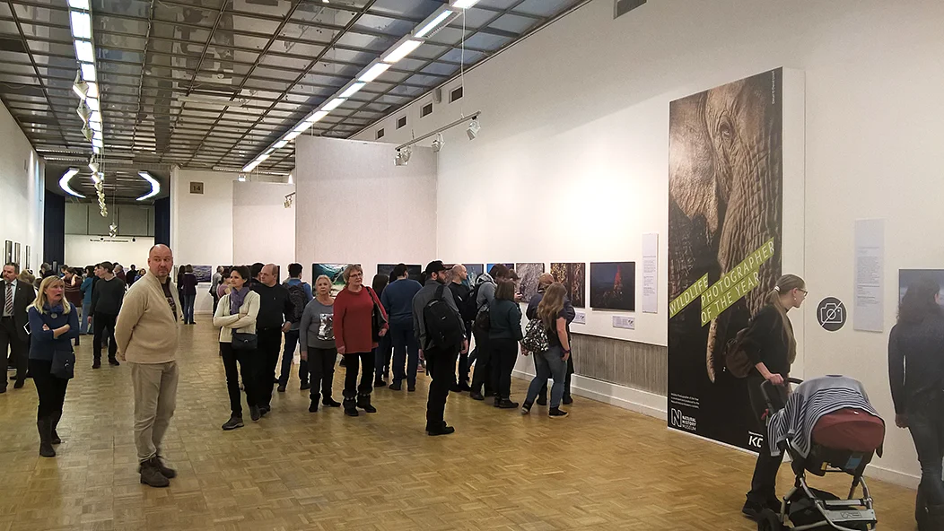 2018-02-17 16-49-56.webp