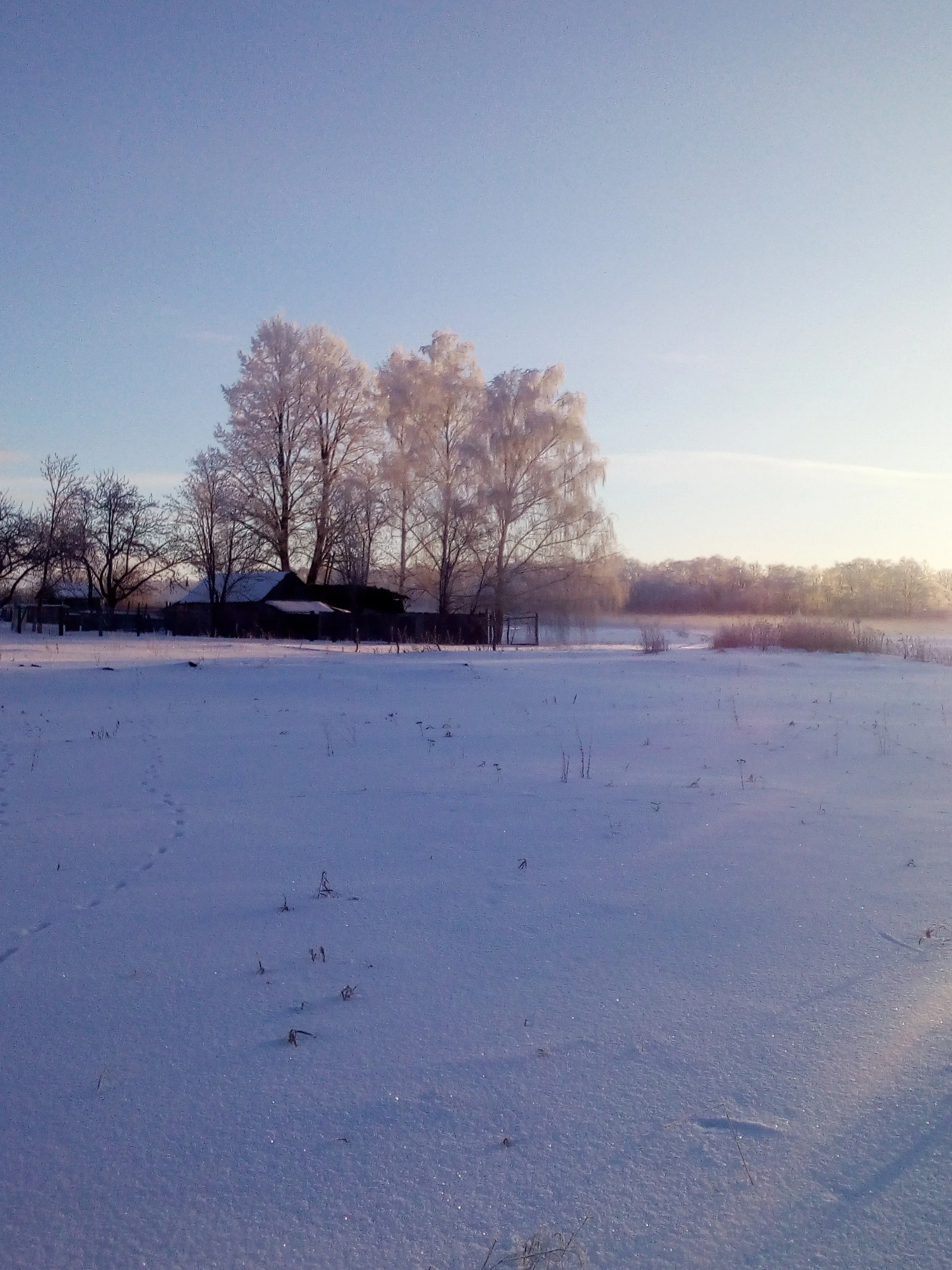 2018-02-22 08-08-46.webp