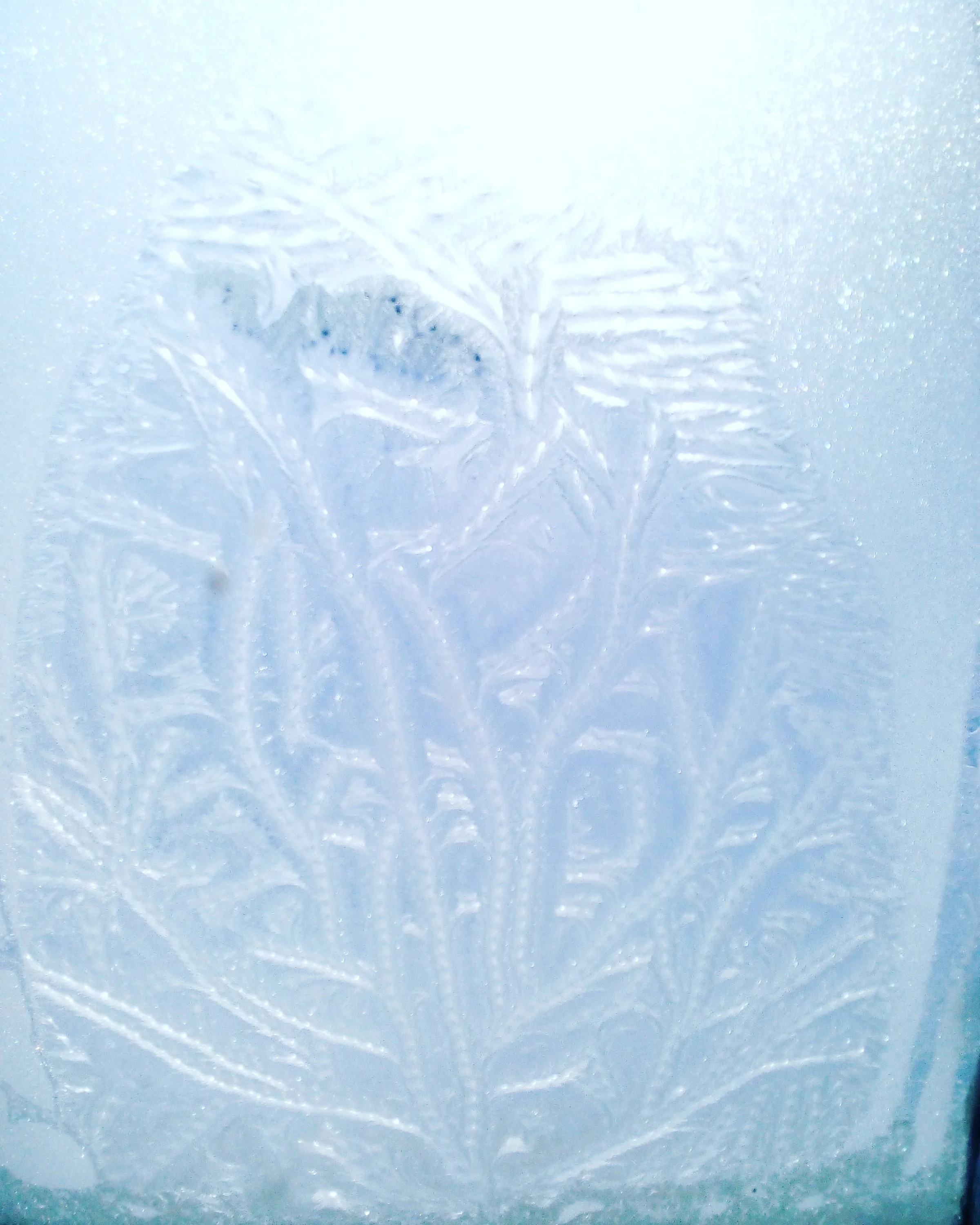 2018-02-27 12-27-45.webp