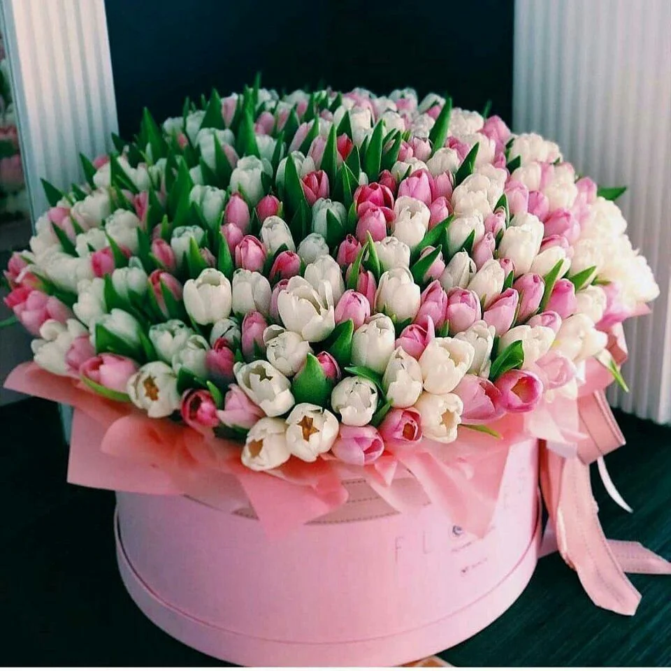 2018-03-14 16.10.45.webp