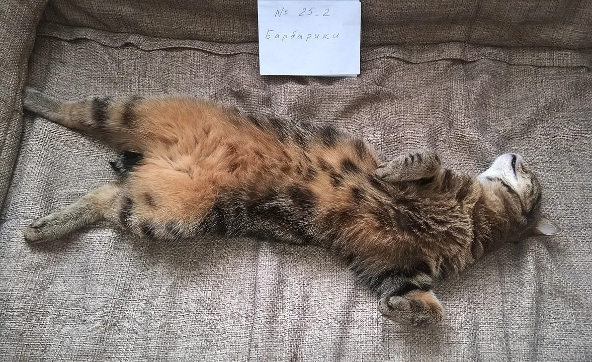 2018-03-28 10-09-30.webp