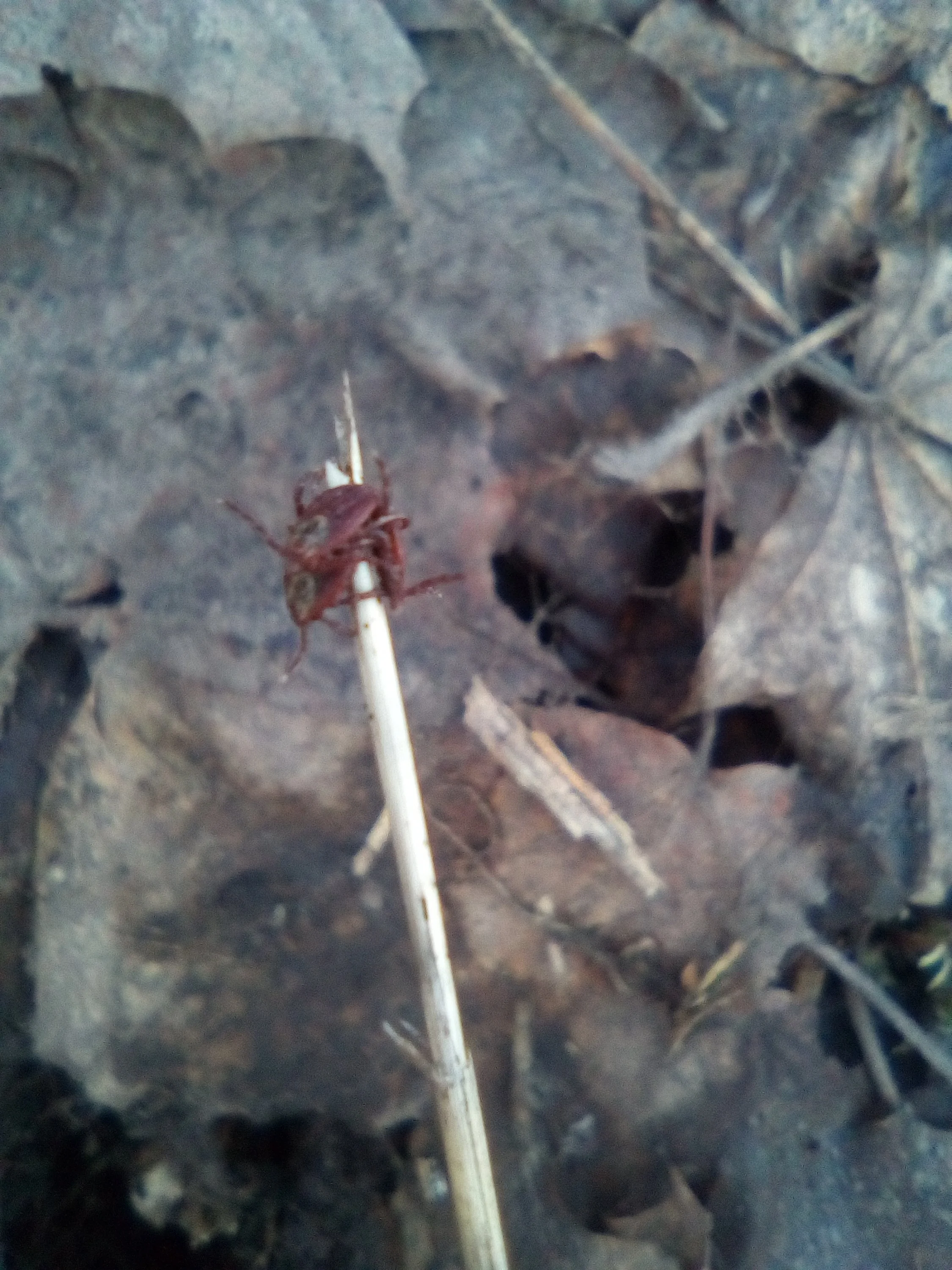 2018-04-09 19-06-44.webp