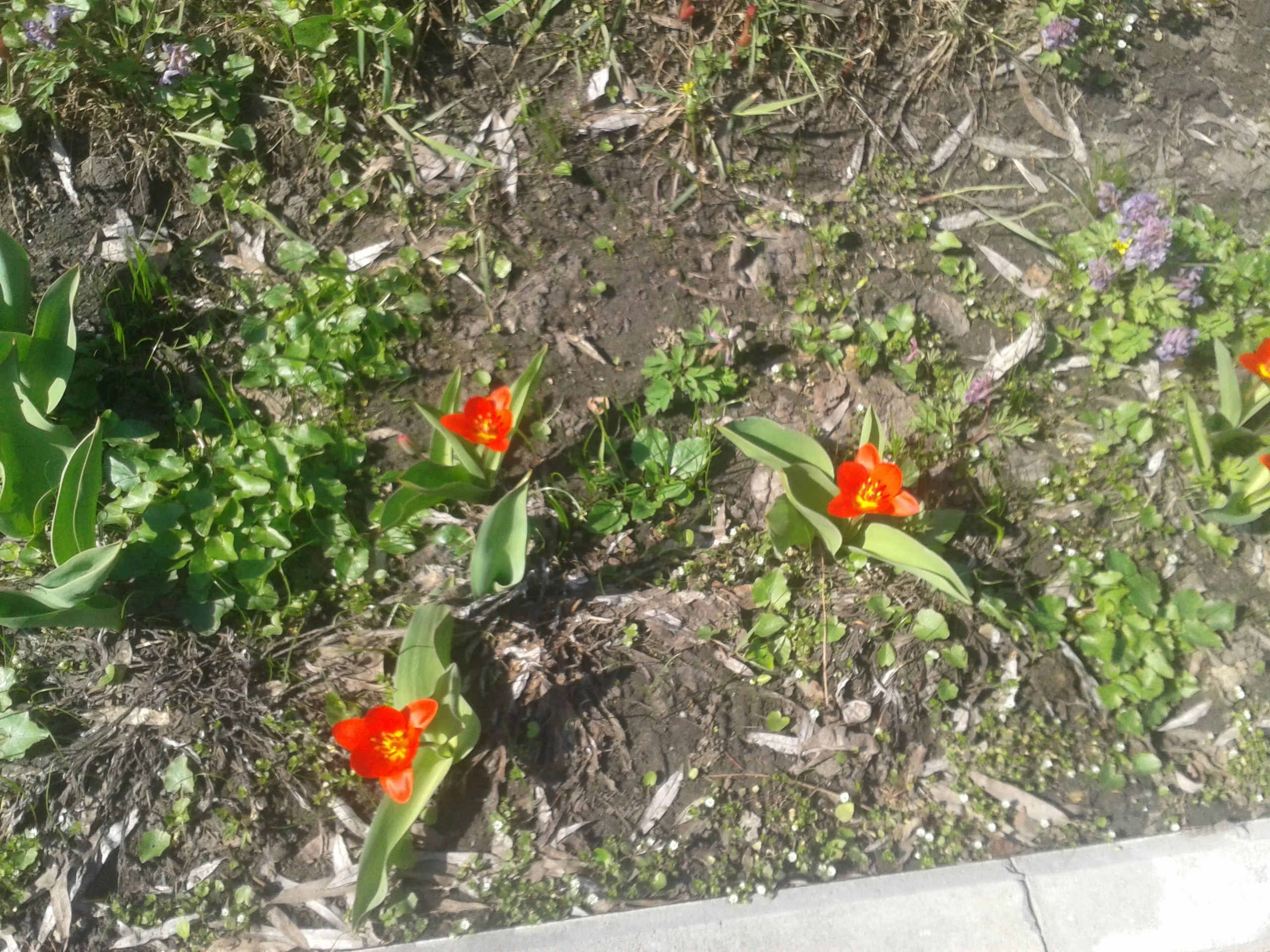 2018-04-10 10.29.23.webp