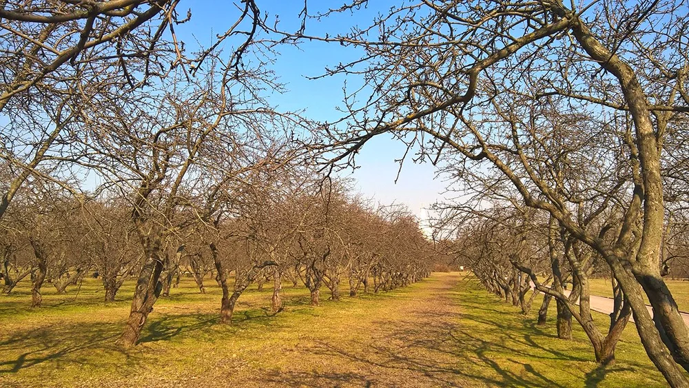 2018-04-15 14-56-36.webp