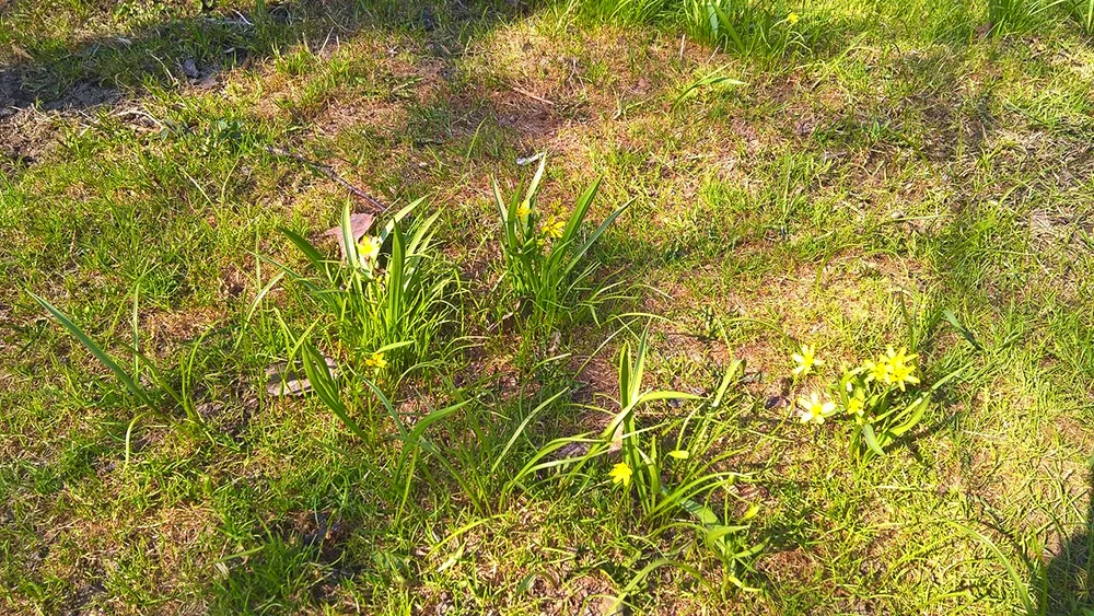 2018-04-15 15-08-20.webp