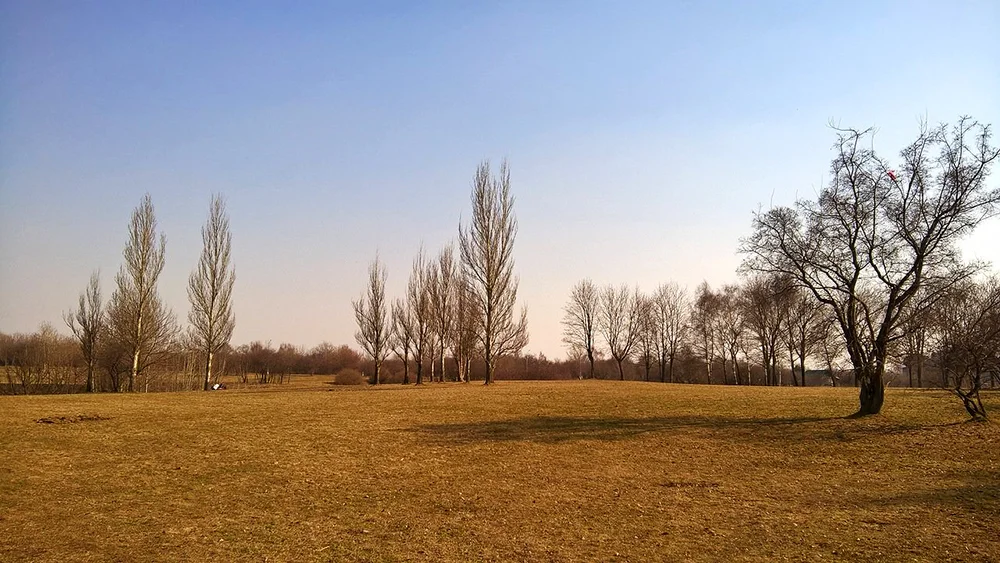 2018-04-15 15-31-30.webp