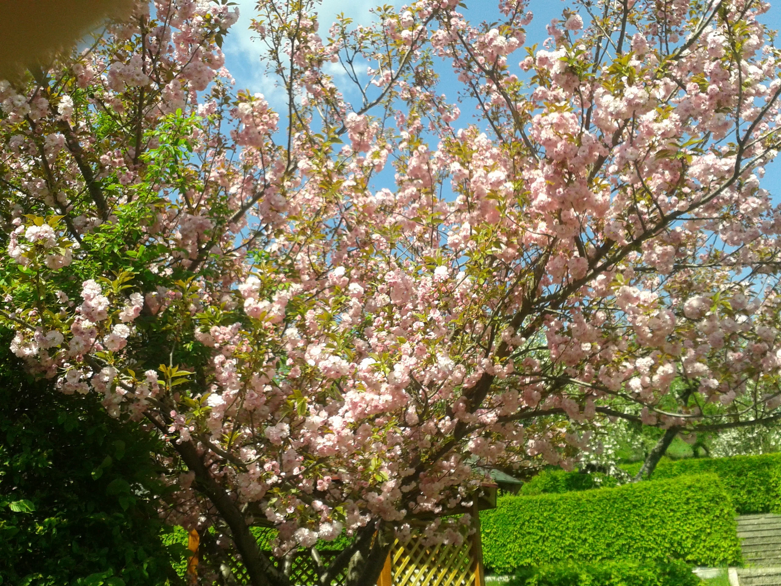 2018-04-19 13.35.43.webp