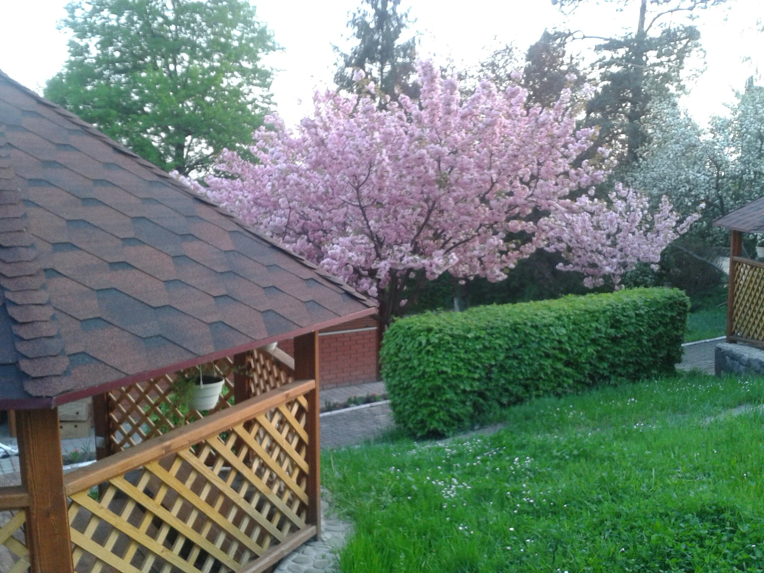 2018-04-19 19.56.12.webp