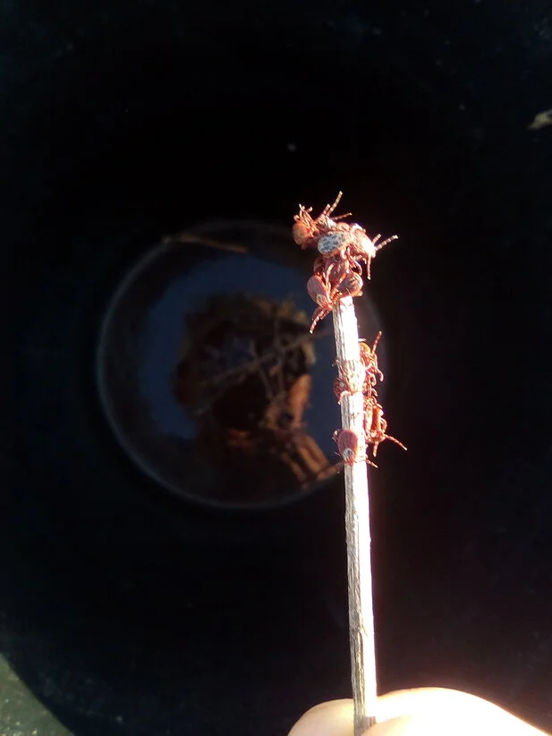 2018-04-29 07-01-21.webp