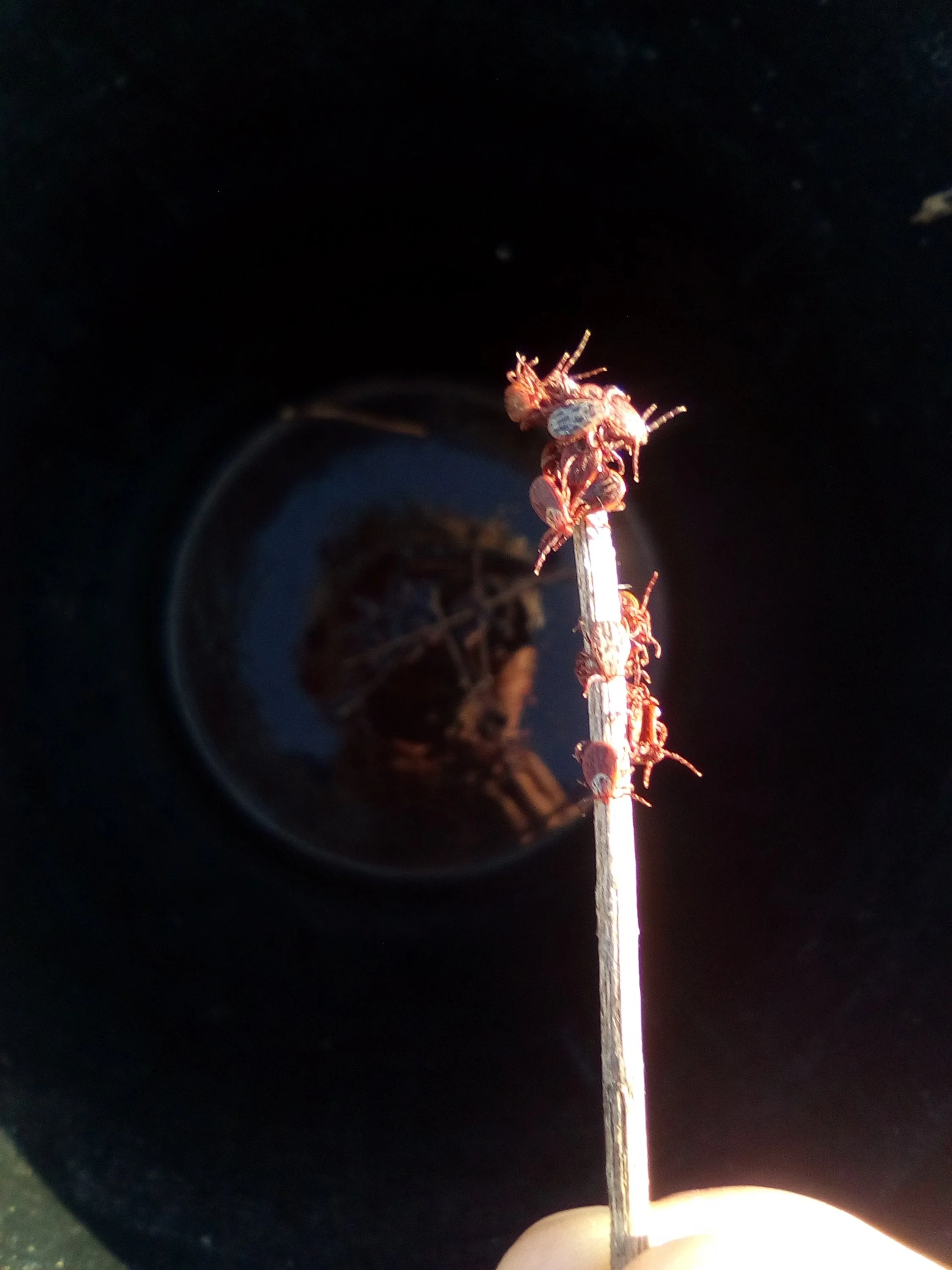 2018-04-29 07-01-21.webp