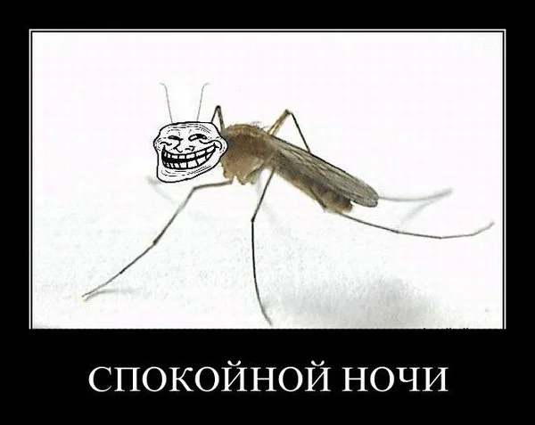 2018-05-02-1525276468 (1).webp