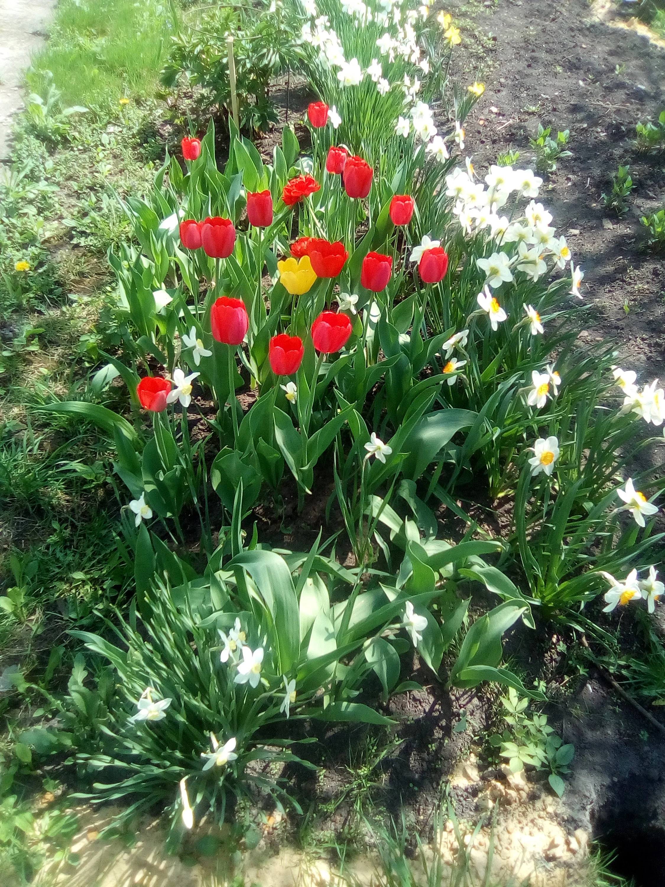 2018-05-04 12-48-38.webp