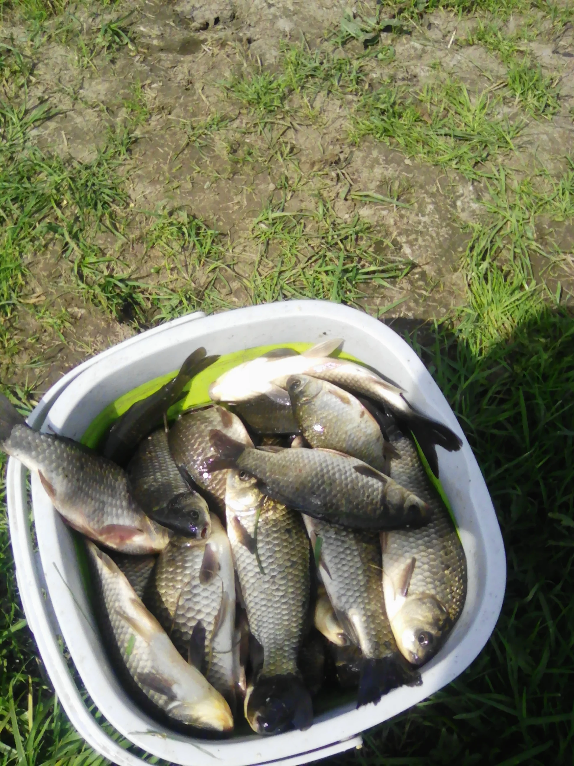 2018-05-17 12-58-33.webp