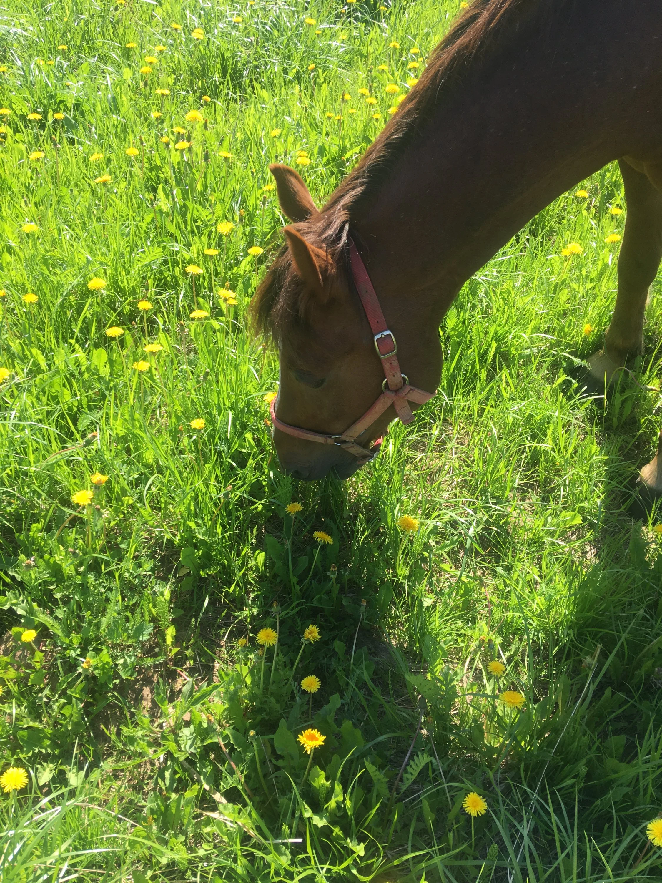 2018-05-20 10.31.08.webp