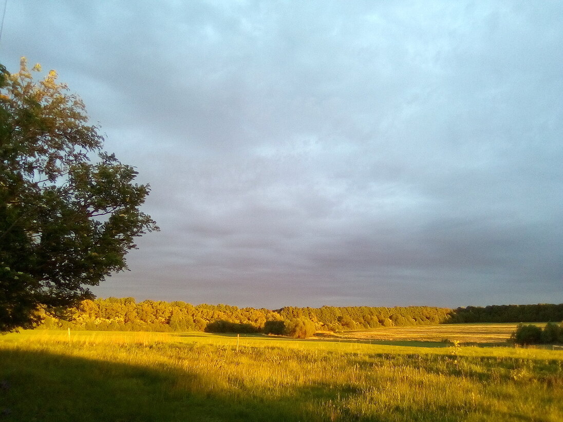 2018-05-21 20-09-37.JPG