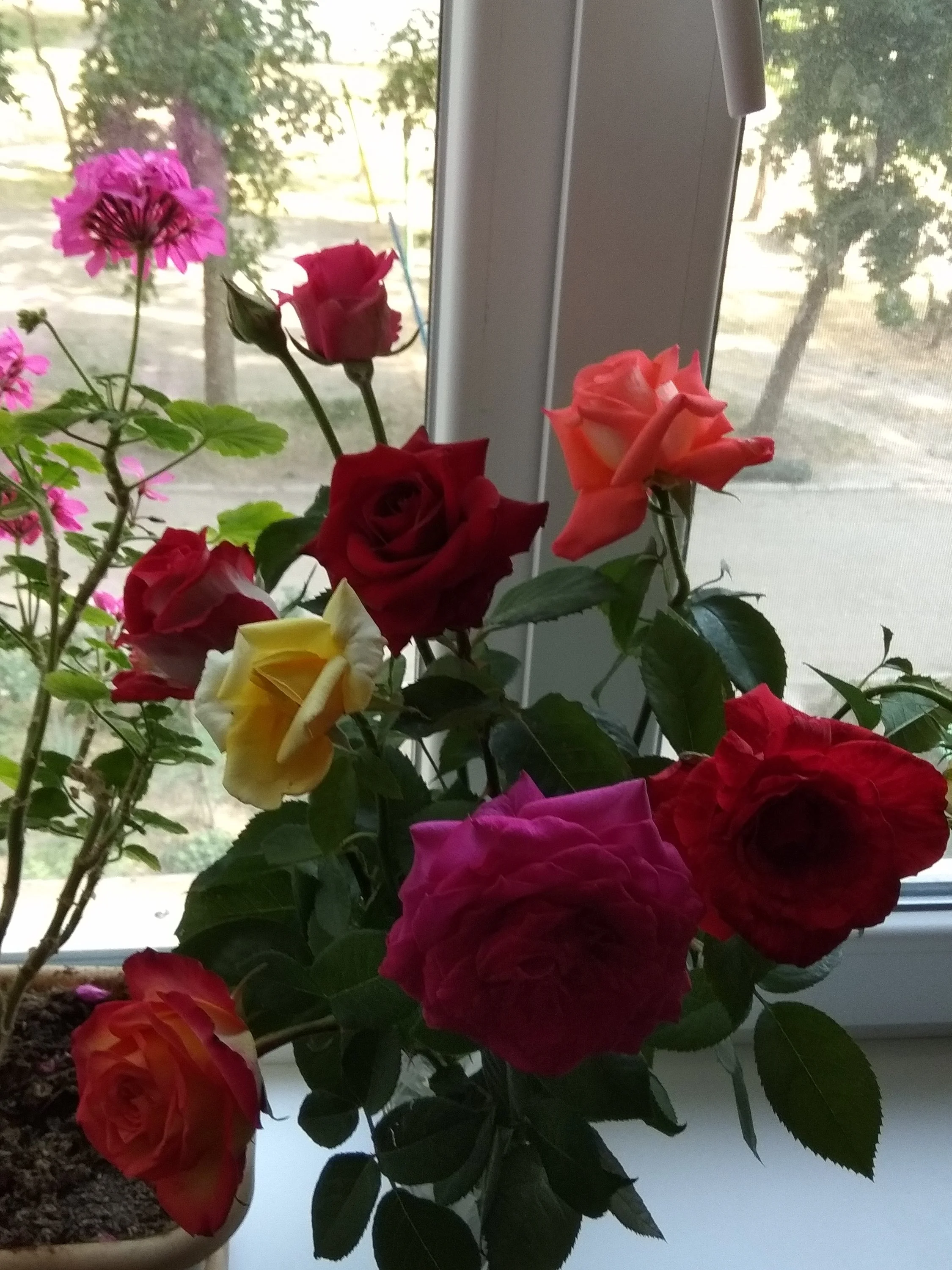 2018-05-26 16-53-26.JPG