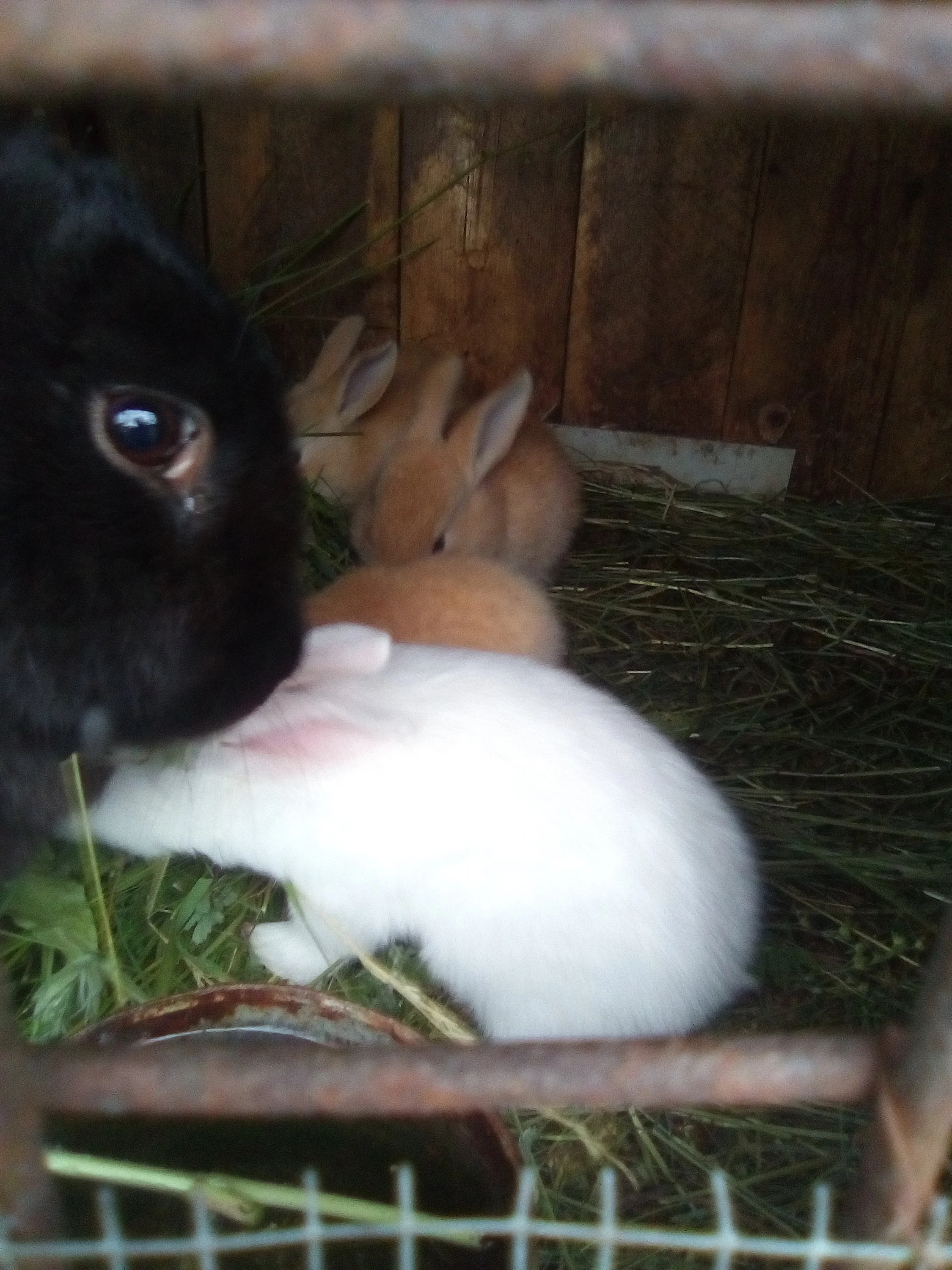 2018-06-08 19-00-37.webp