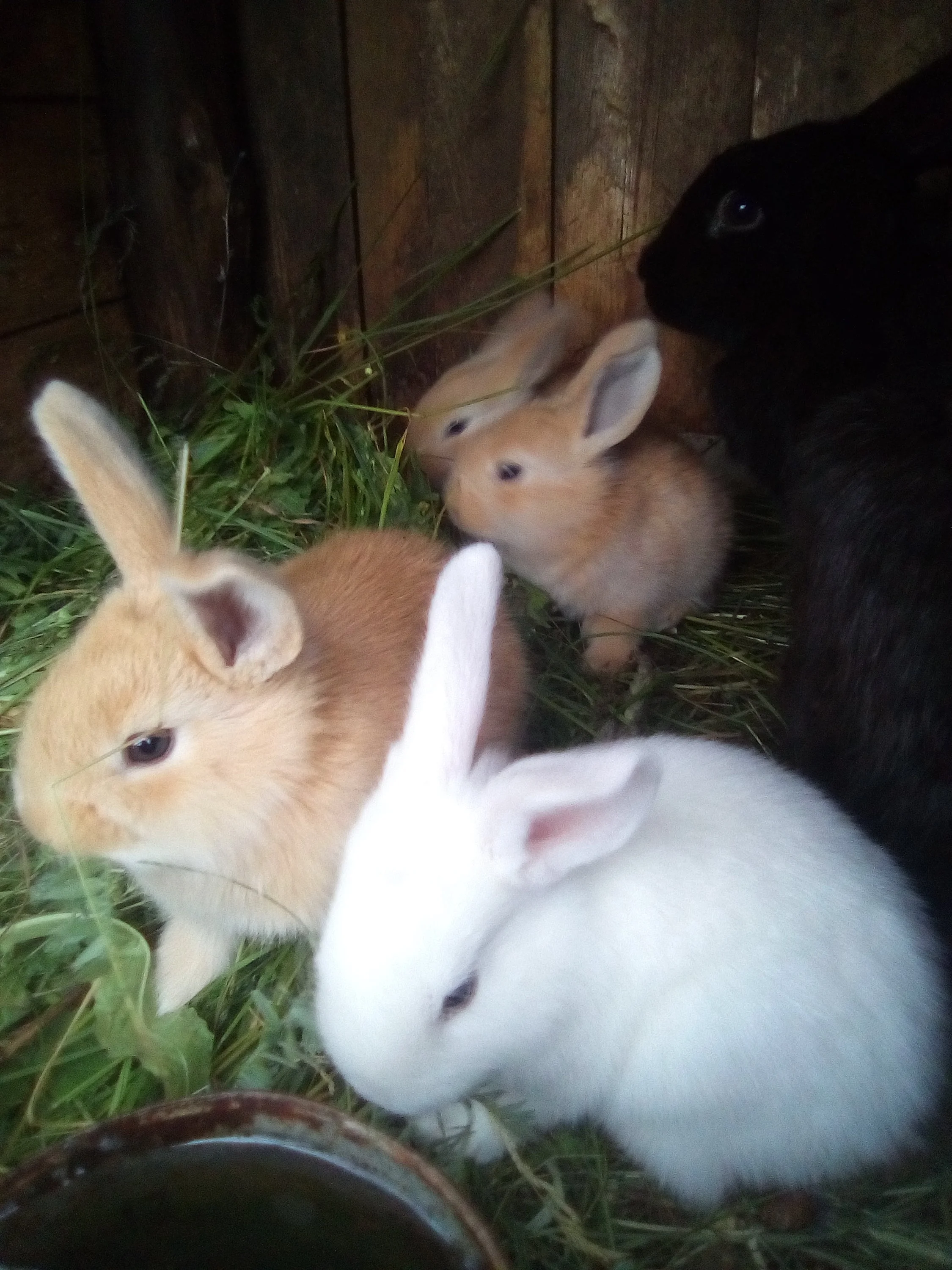 2018-06-08 19-01-08.webp