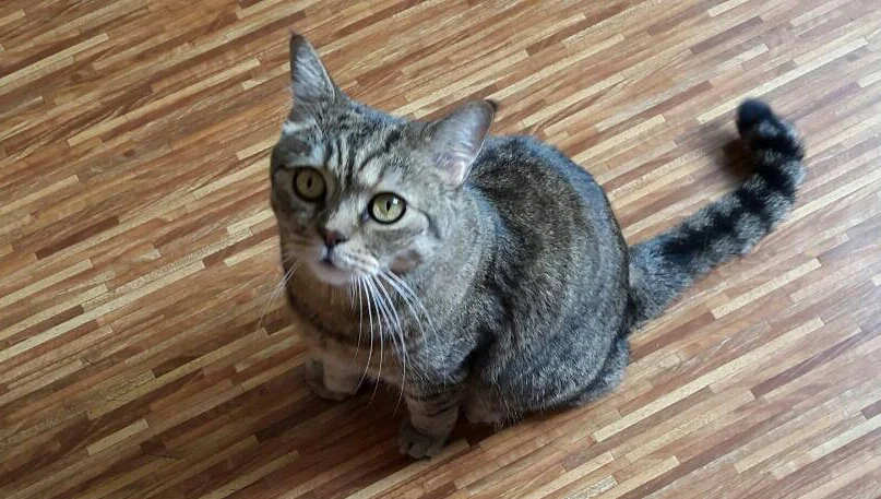 2018-06-21 09.40.05.webp