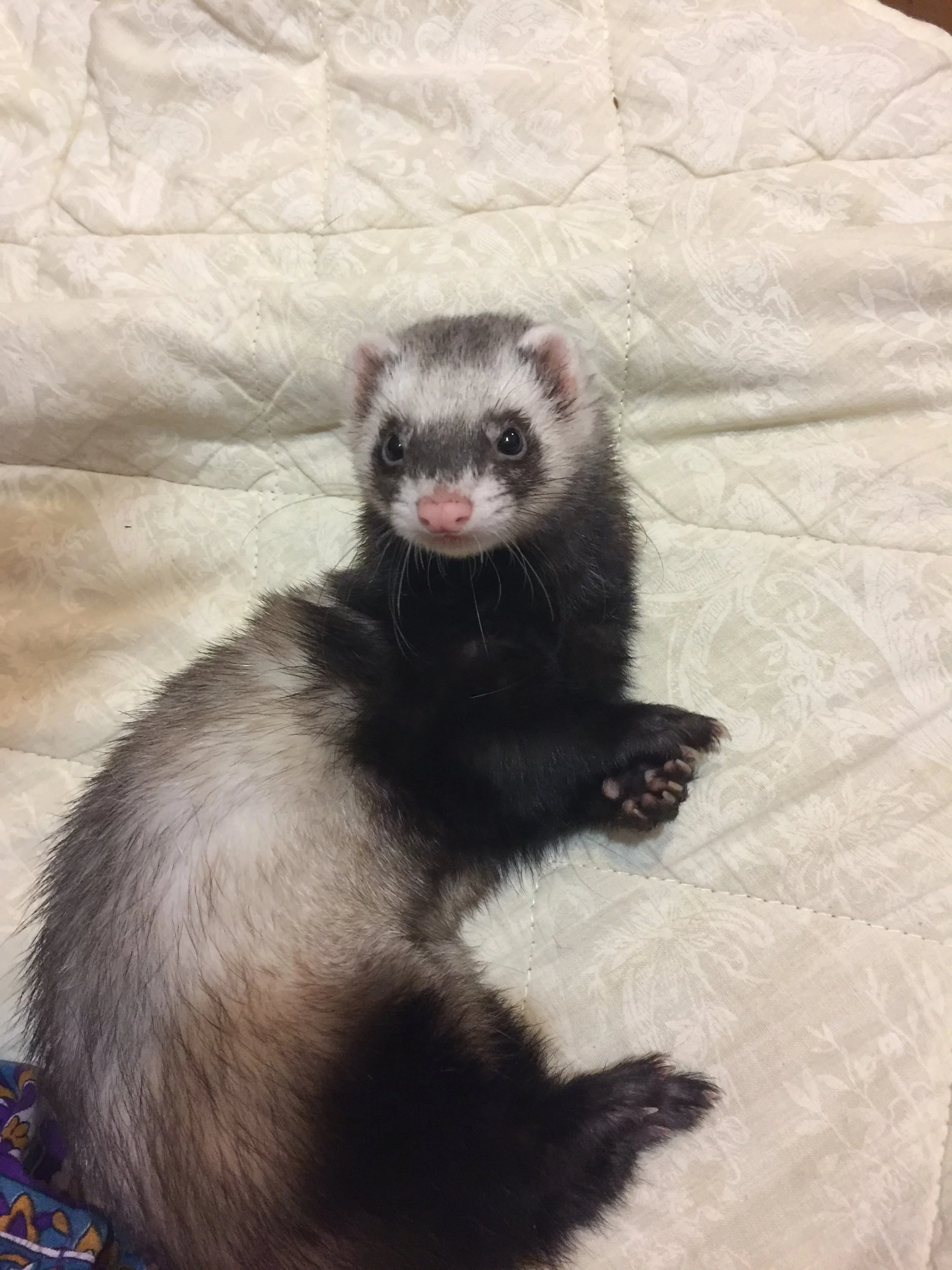 2018-07-15 21-59-38.webp