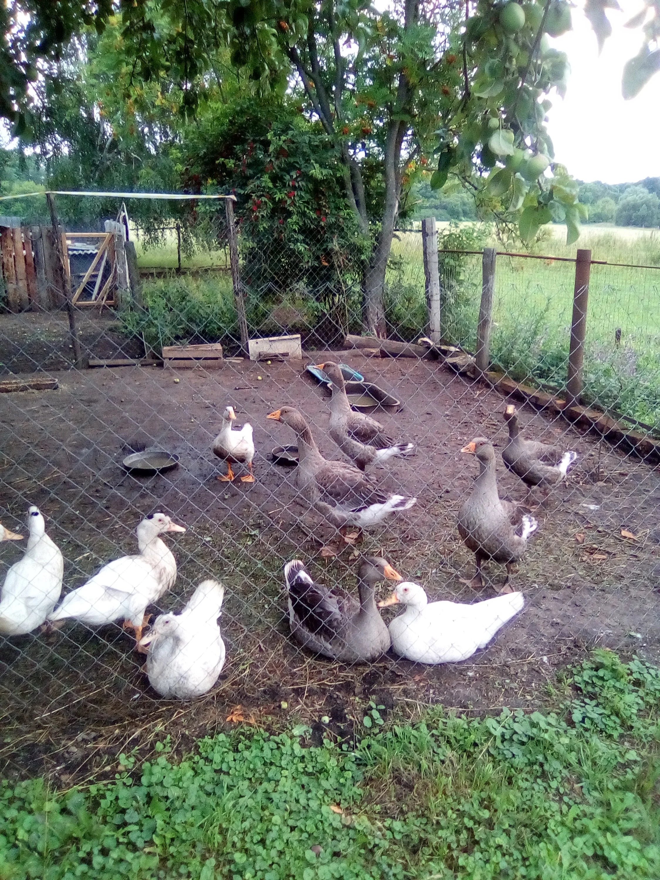 2018-07-17 20-01-06.webp