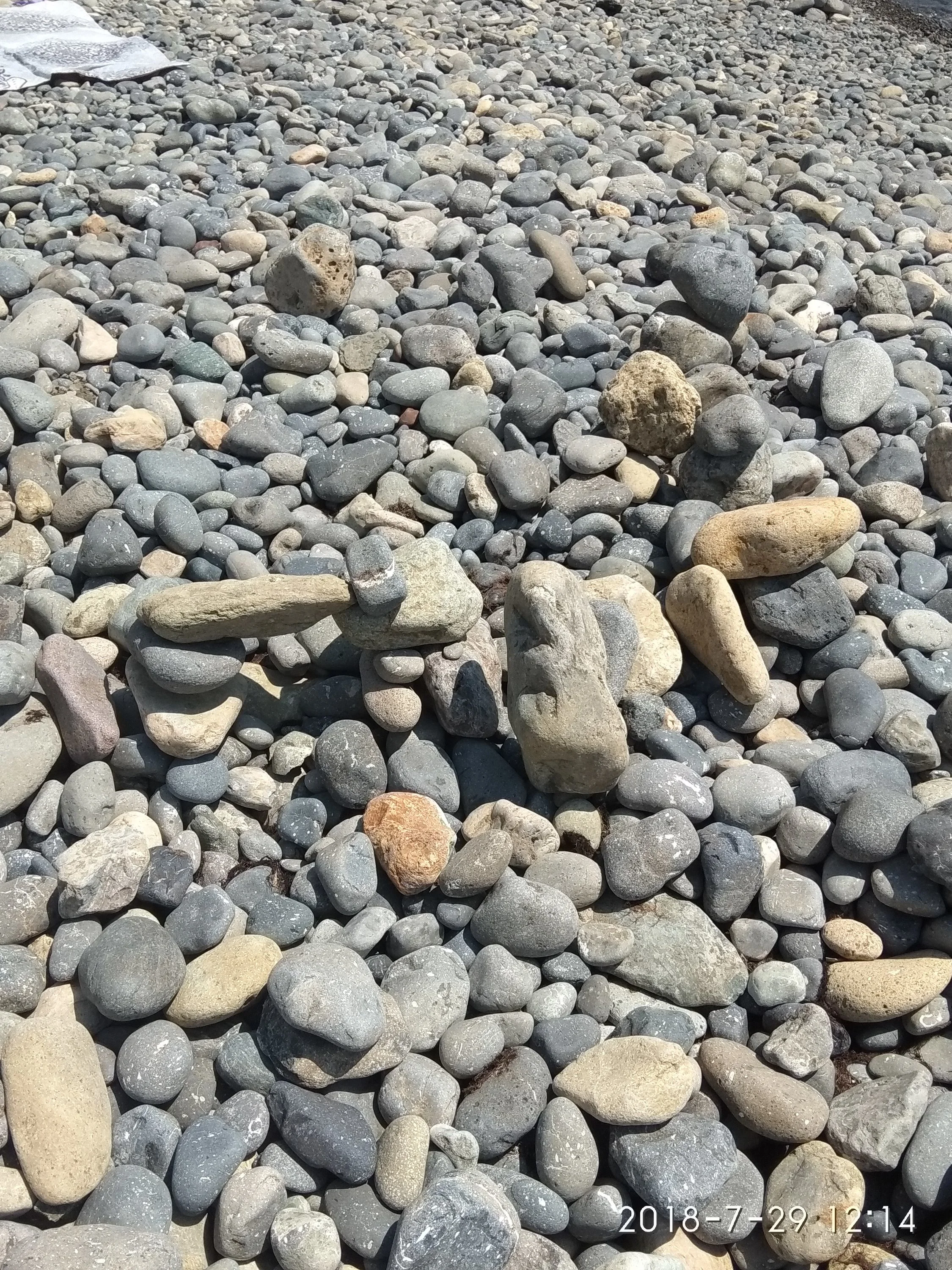 2018-07-29 12-14-32.webp