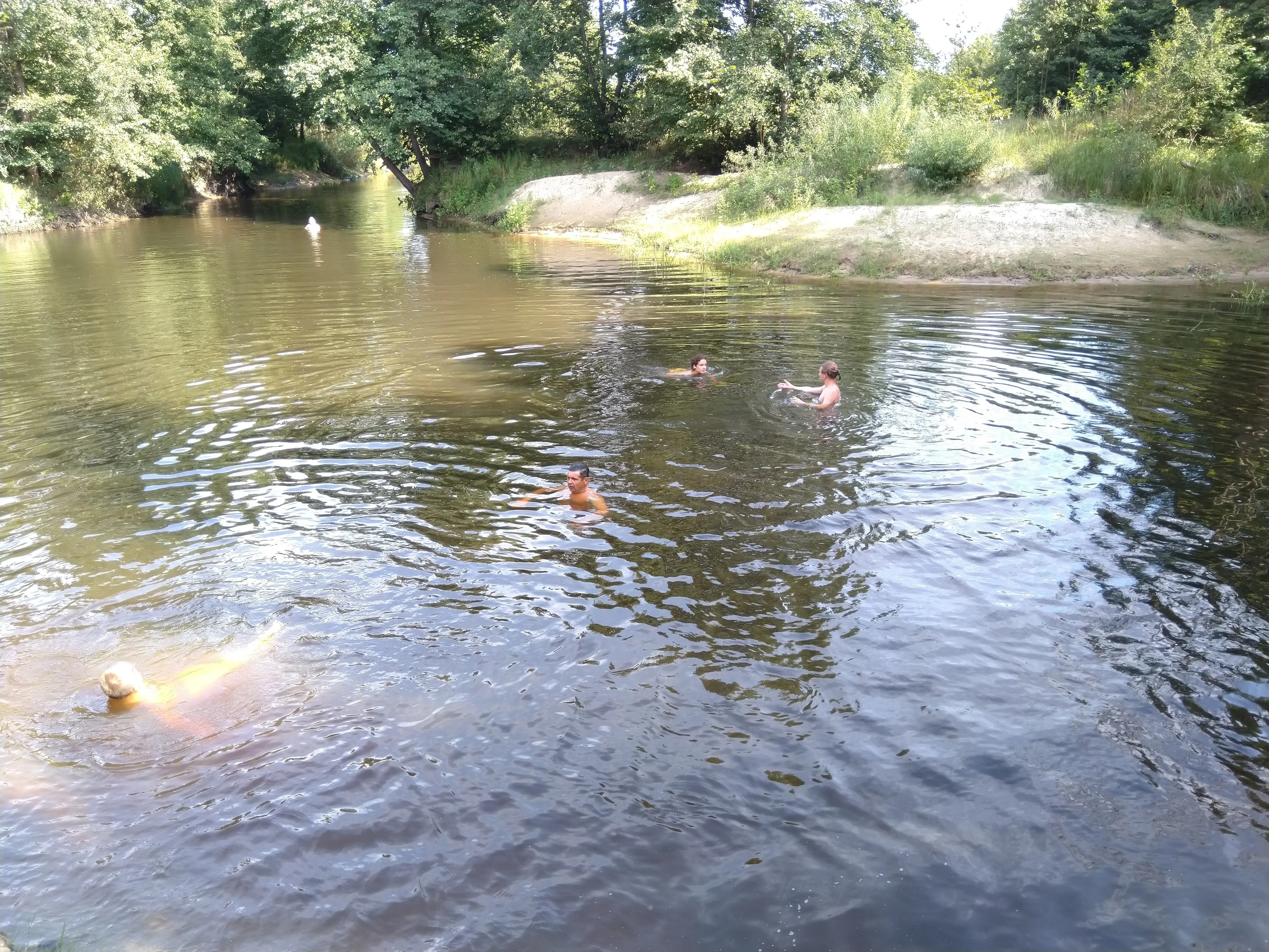 2018-08-05 16.43.23.webp