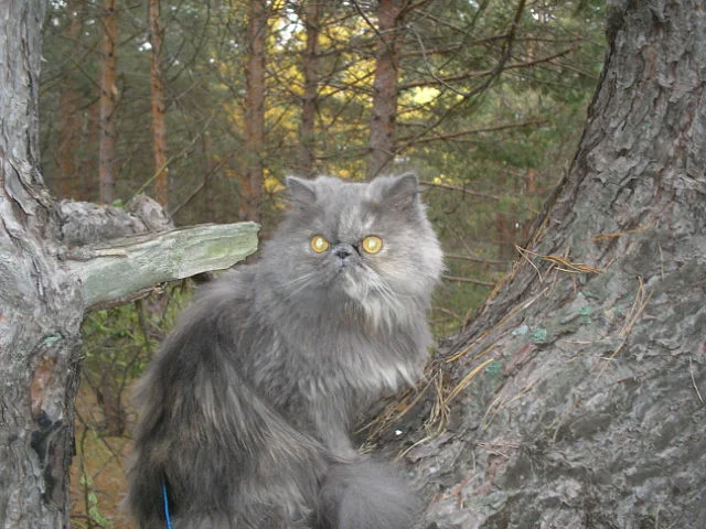 2018-08-31 22-03-45.webp