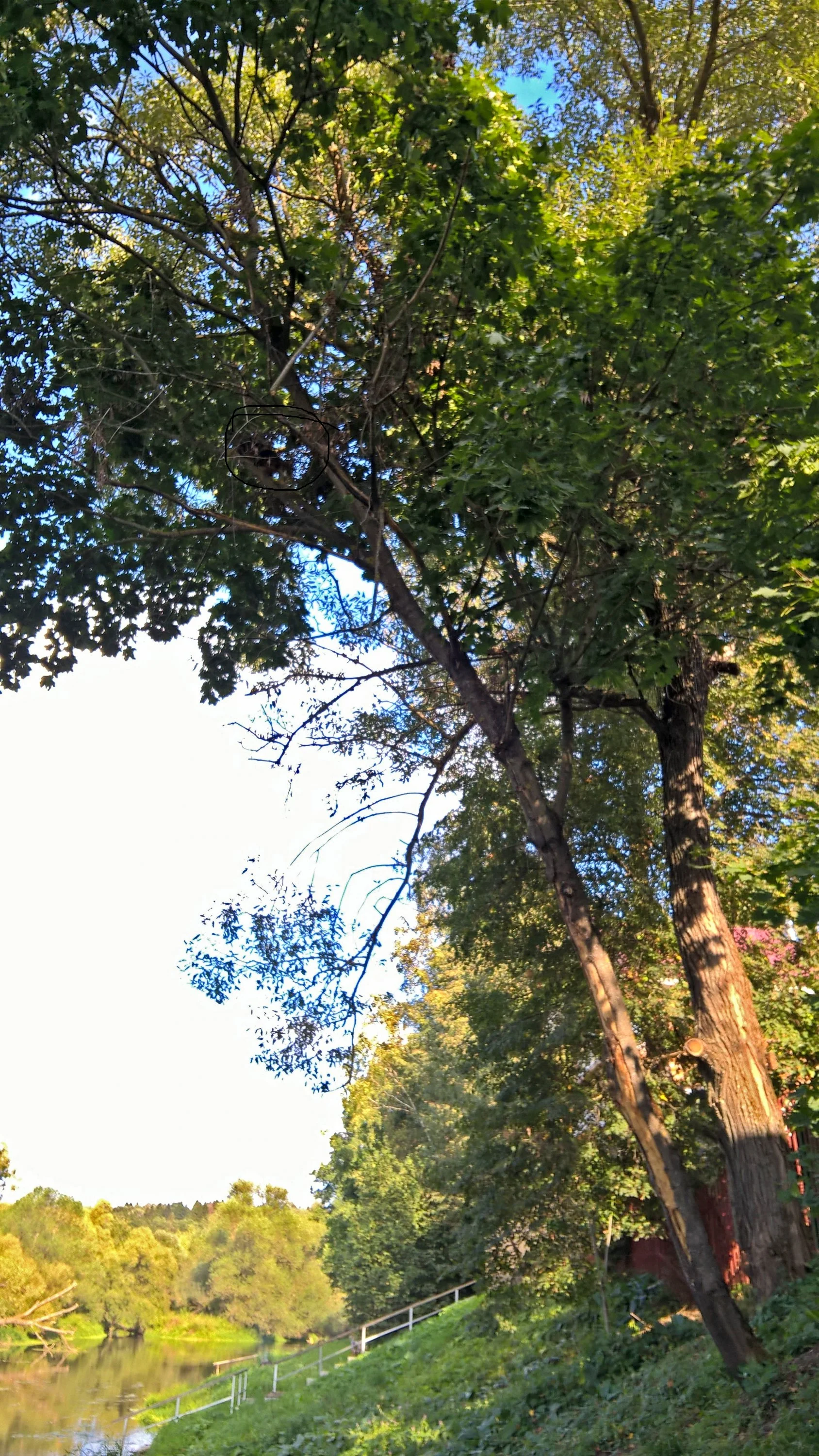 2018-09-07 15-51-32.webp