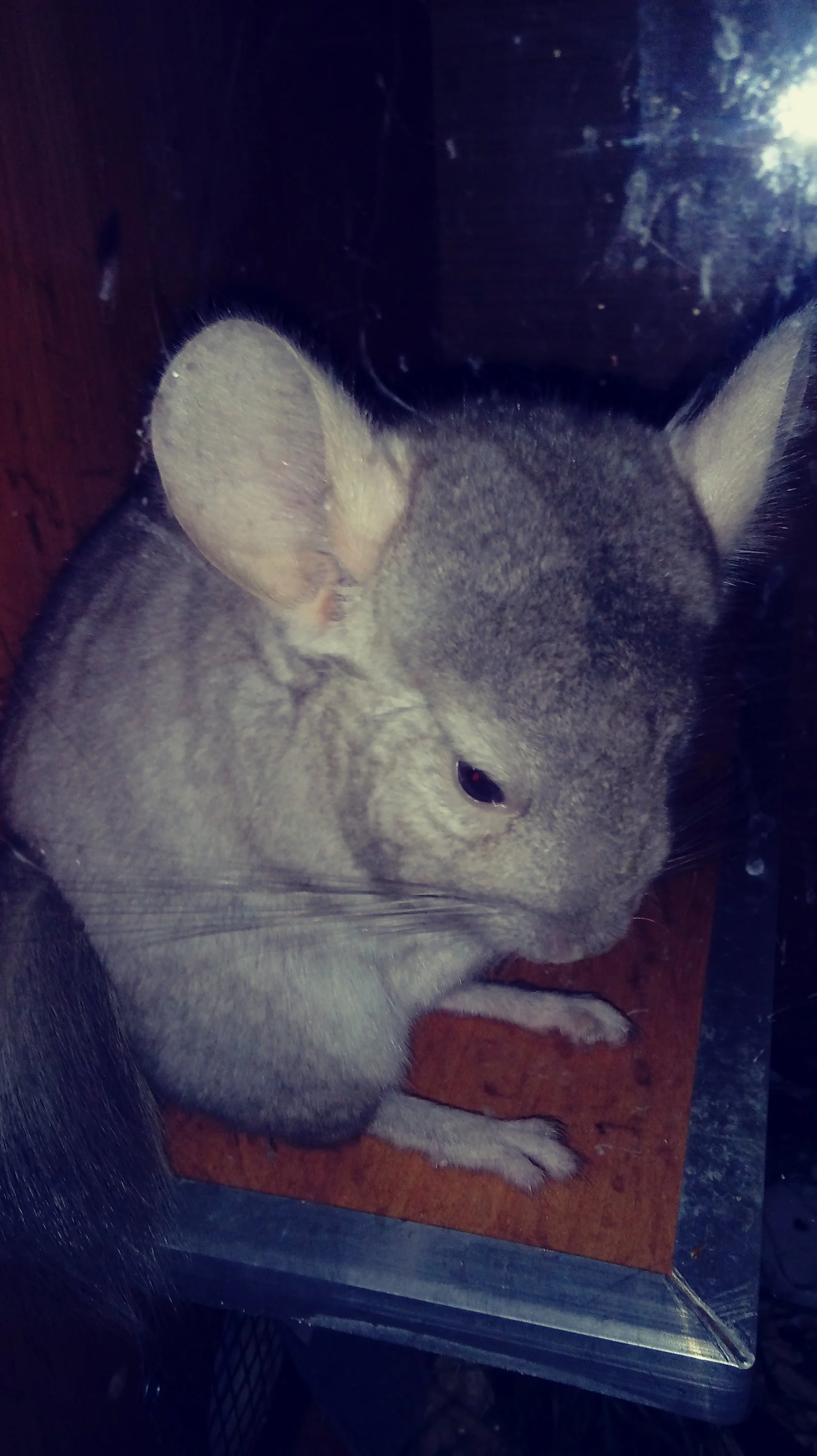 2018-09-12 08-56-57.webp